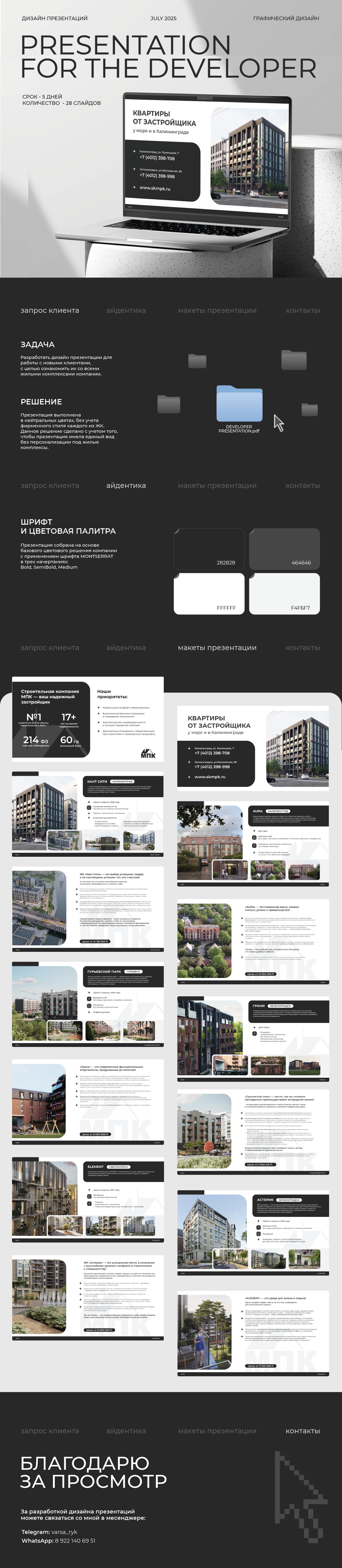 Презентация DEVELOPER — Изображение №1 — Графика на Dprofile