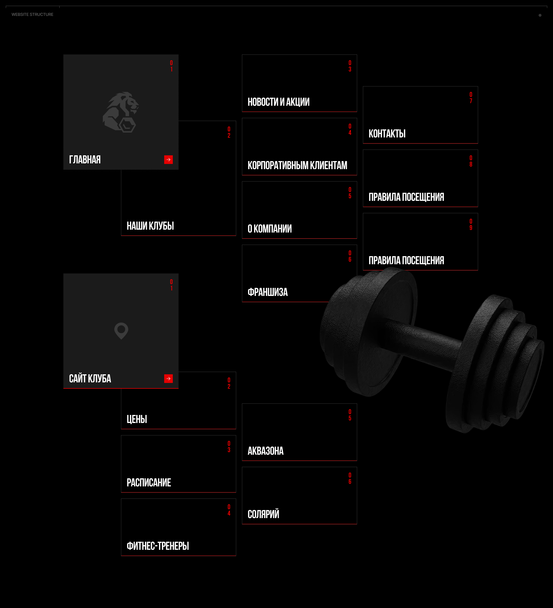 АДРЕНАЛИН / Крупнейшая фитнес сеть — Изображение №2 — Интерфейсы, Брендинг на Dprofile