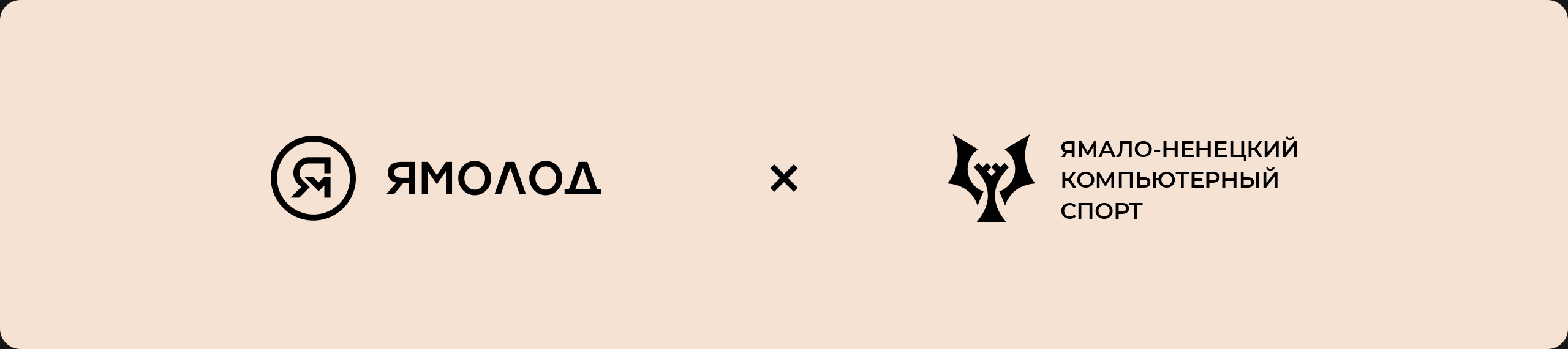 ЯНКС 2025  Чемпионат ЯНАО по киберспорту — Изображение №3 — Брендинг, 3D на Dprofile