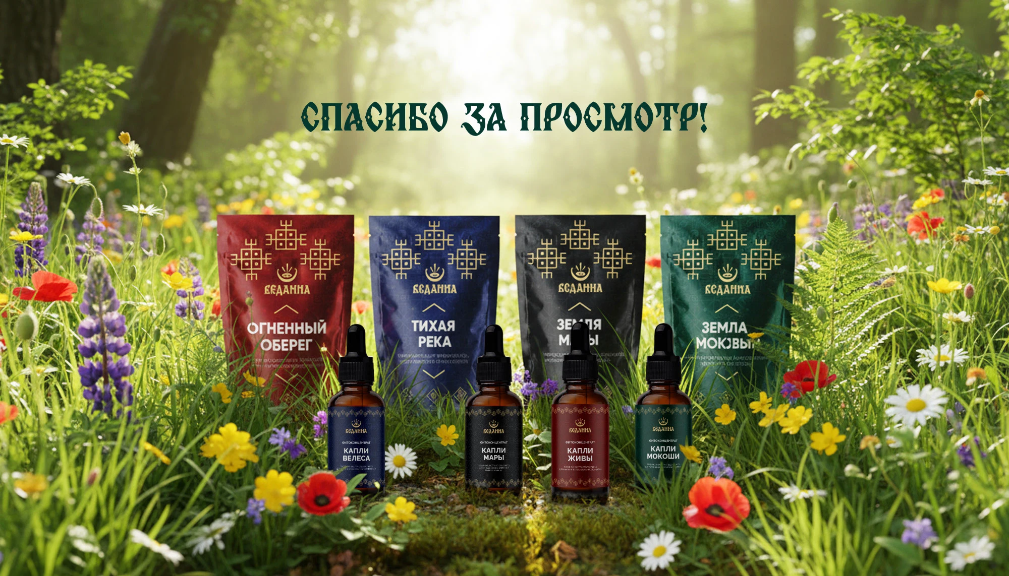 Брендинг и упаковка фитопродукции — Изображение №28 — Брендинг на Dprofile