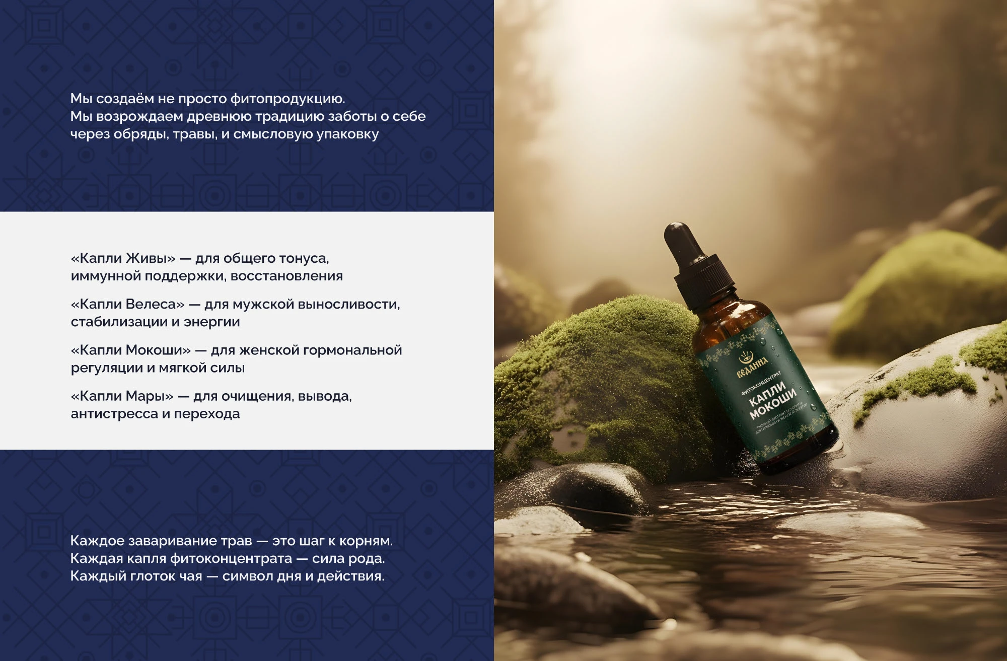 Брендинг и упаковка фитопродукции — Изображение №8 — Брендинг на Dprofile