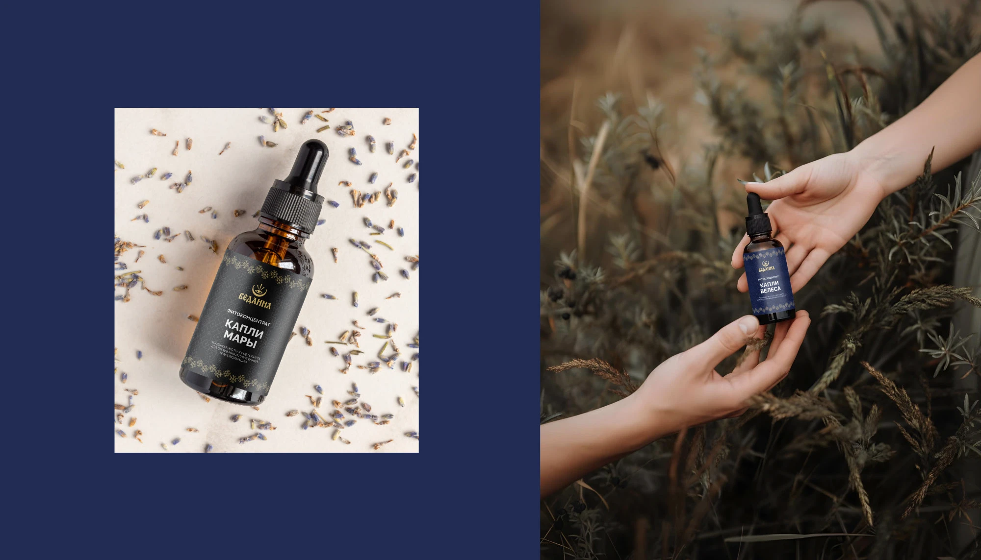 Брендинг и упаковка фитопродукции — Изображение №11 — Брендинг на Dprofile