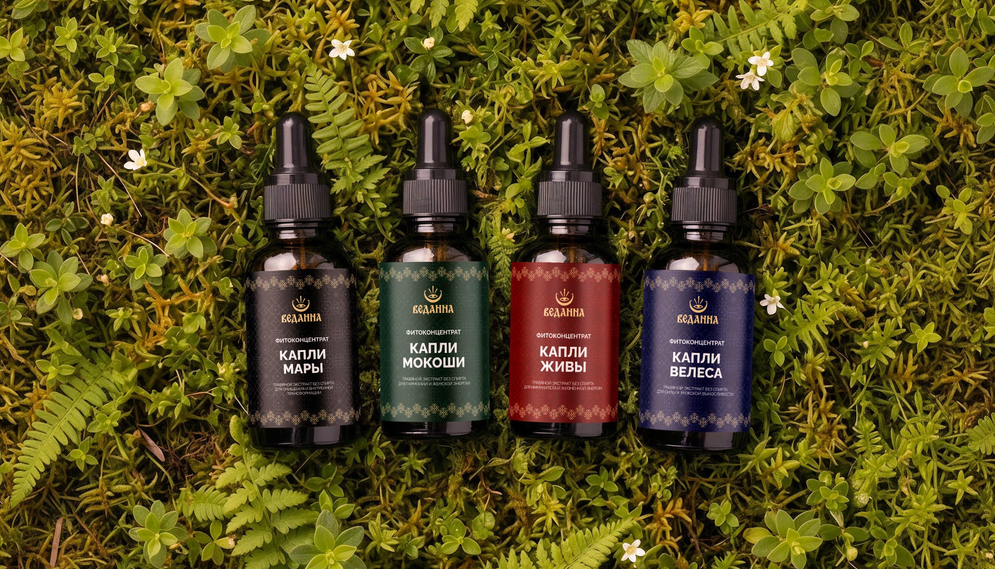 Брендинг и упаковка фитопродукции — Изображение №12 — Брендинг на Dprofile