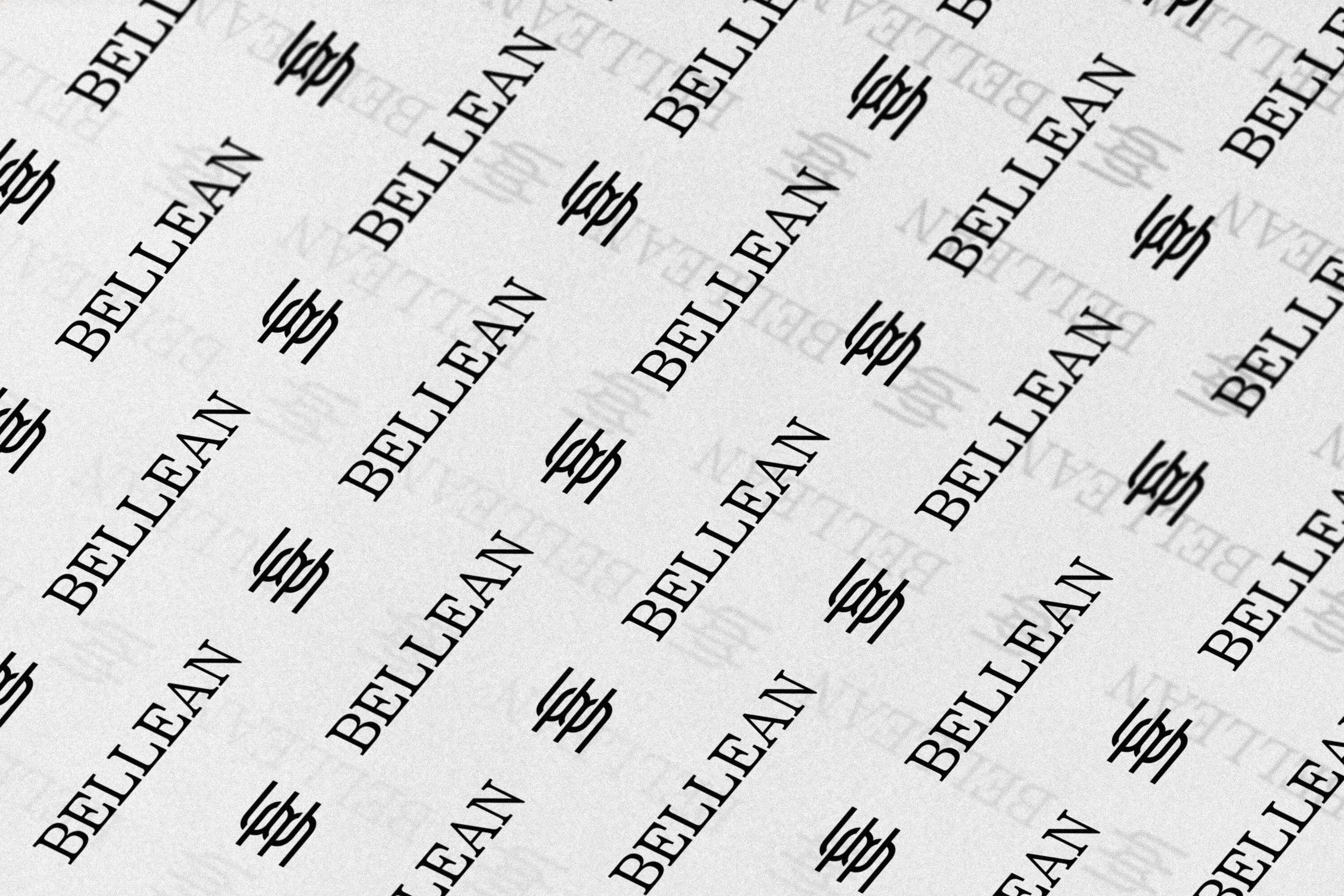 BELLEAN | Айдентика бренда крабиков для волос — Изображение №10 — Брендинг на Dprofile