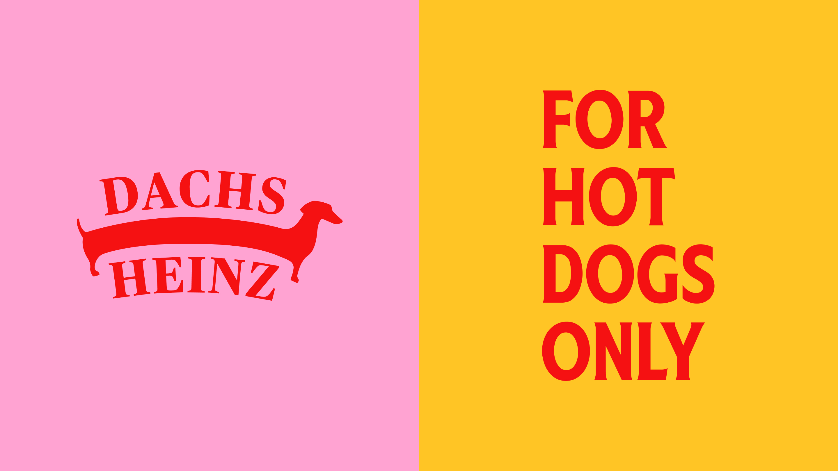 DACHSHEINZ — Изображение №4 — Брендинг на Dprofile