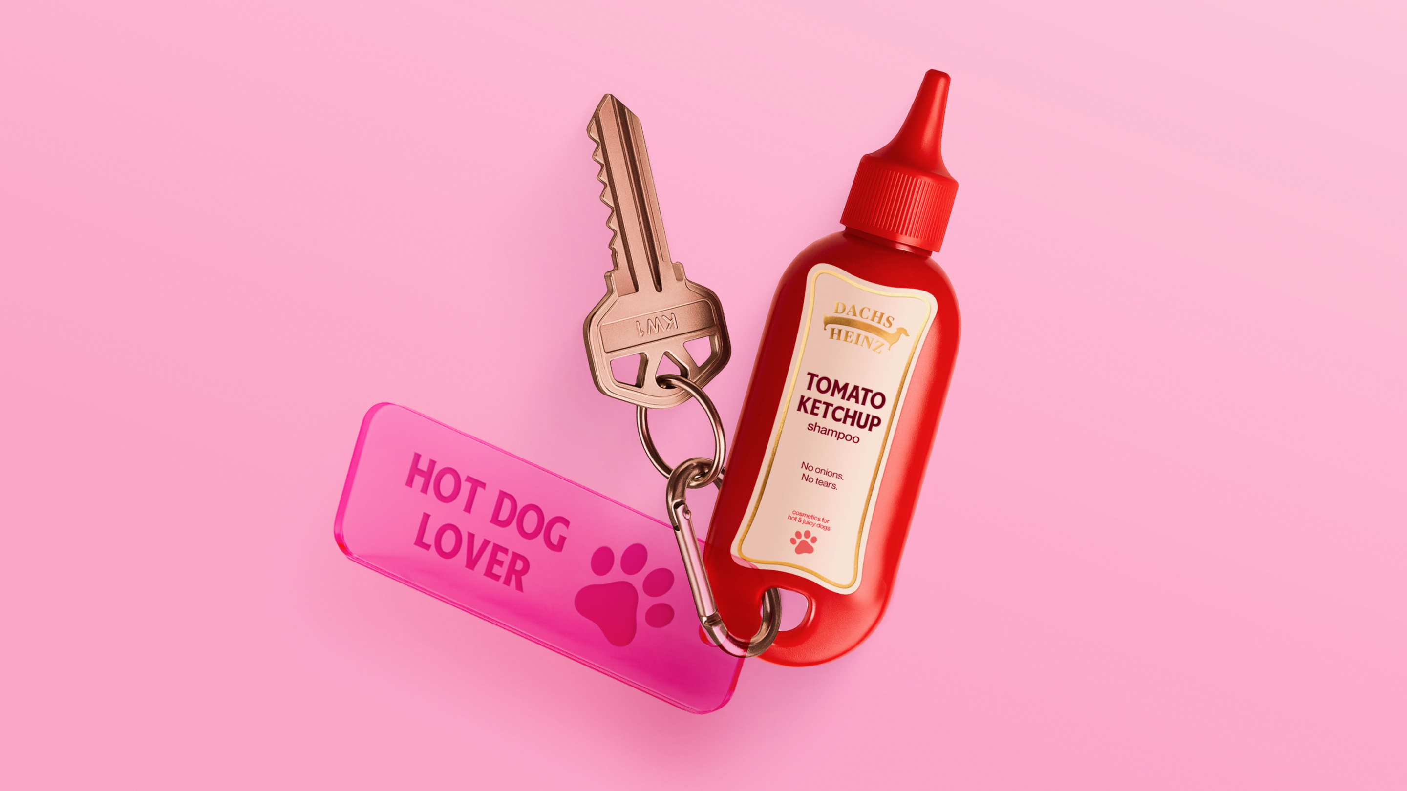 DACHSHEINZ — Изображение №15 — Брендинг на Dprofile