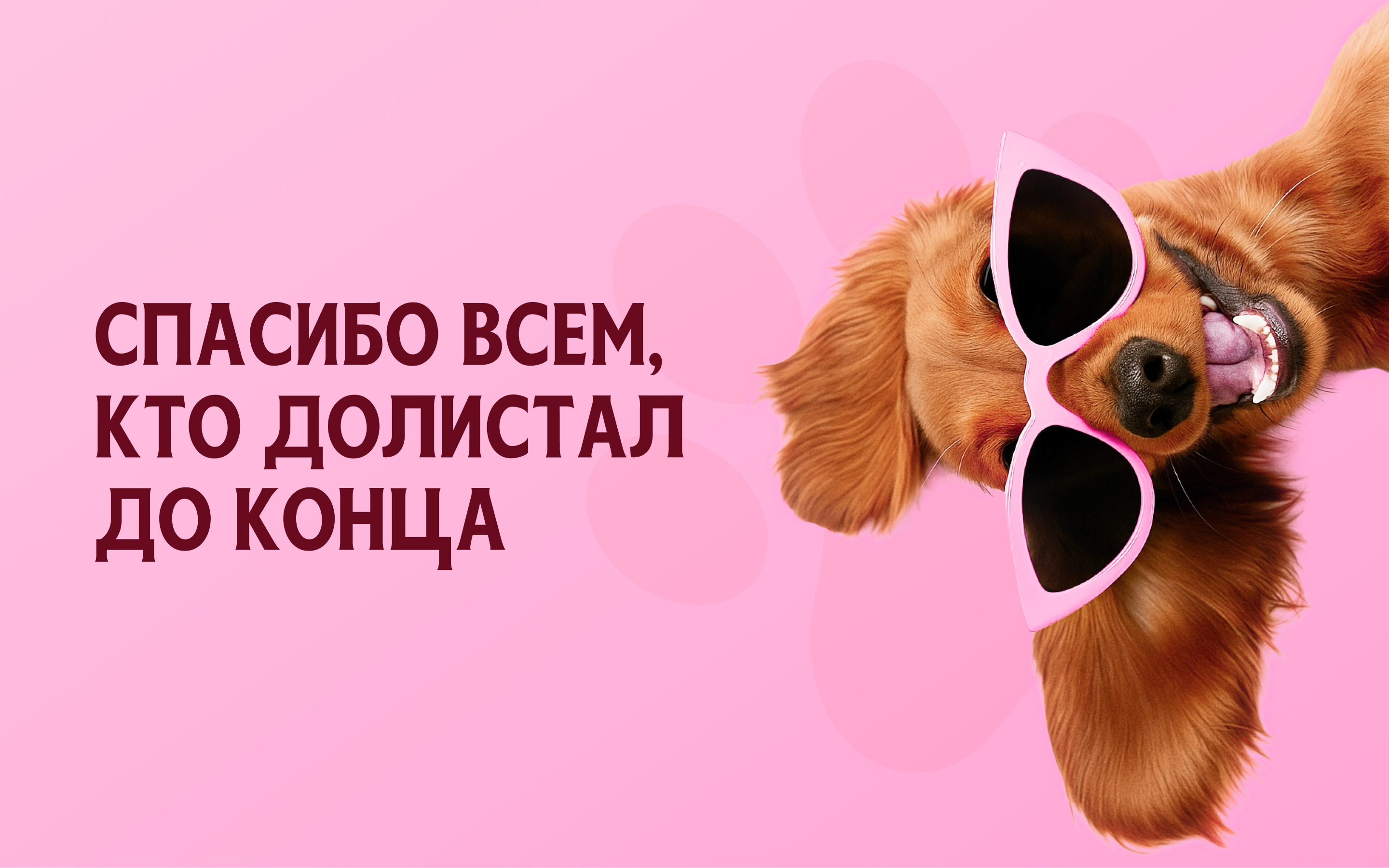 DACHSHEINZ — Изображение №19 — Брендинг на Dprofile