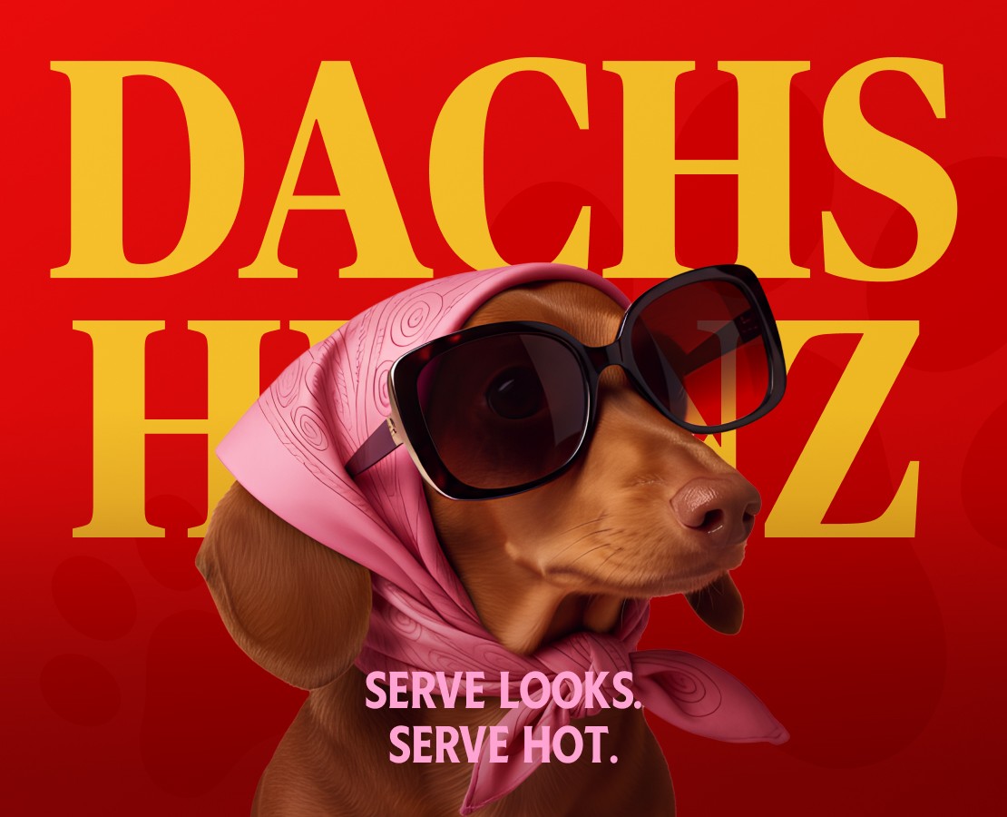 DACHSHEINZ — Брендинг на Dprofile