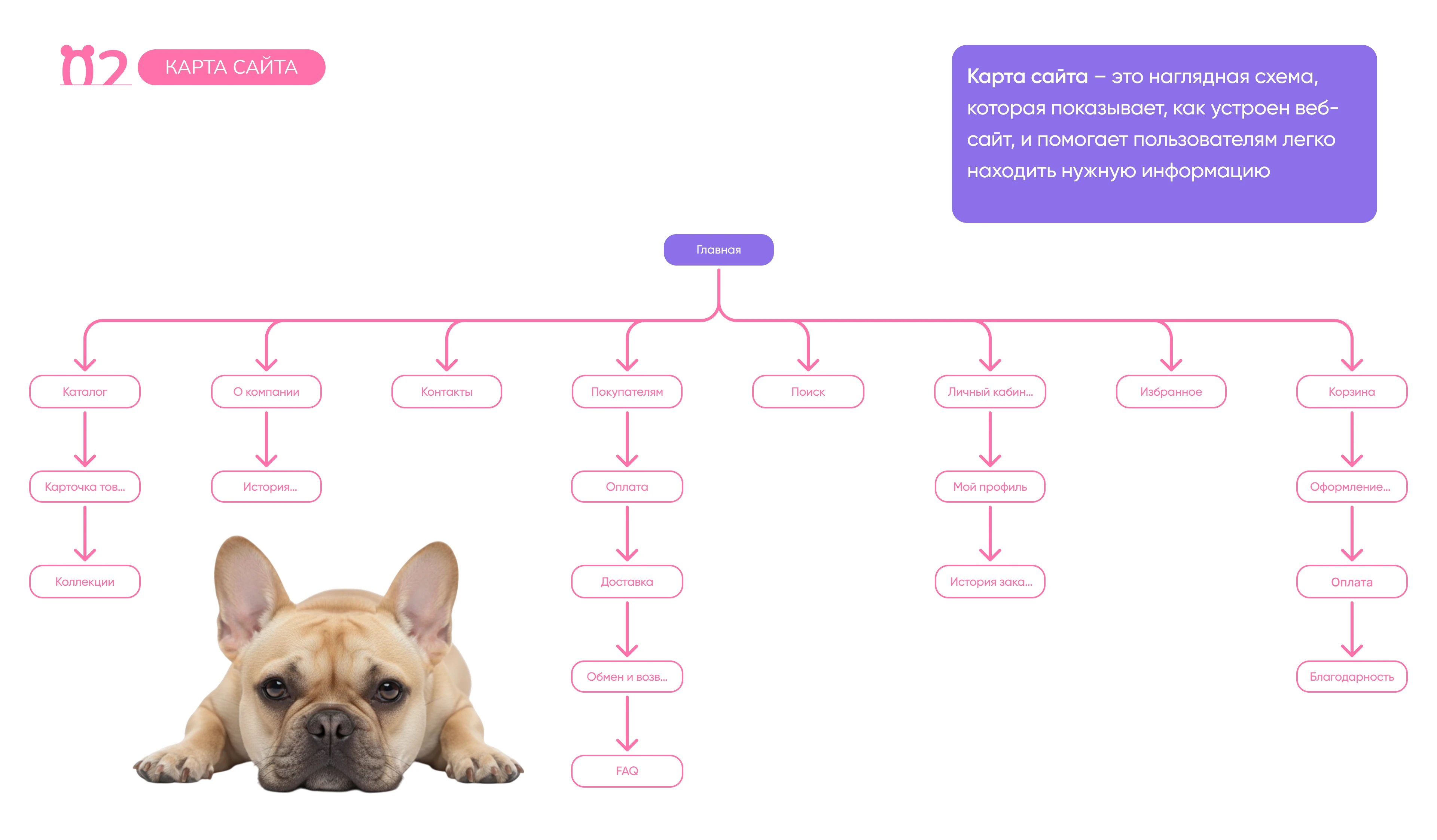 Интернет магазин для животных / Online store for animal — Изображение №3 — Интерфейсы на Dprofile