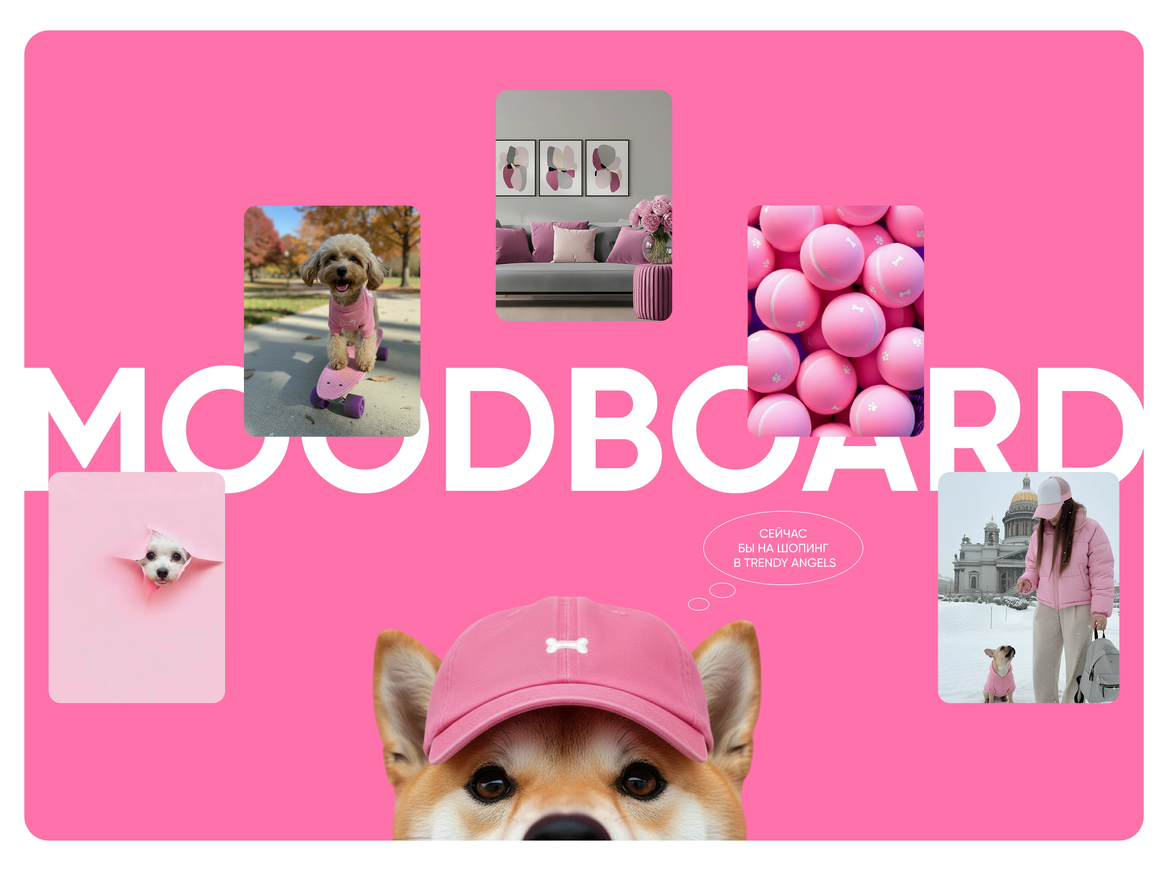 Интернет магазин для животных / Online store for animal — Изображение №7 — Интерфейсы на Dprofile