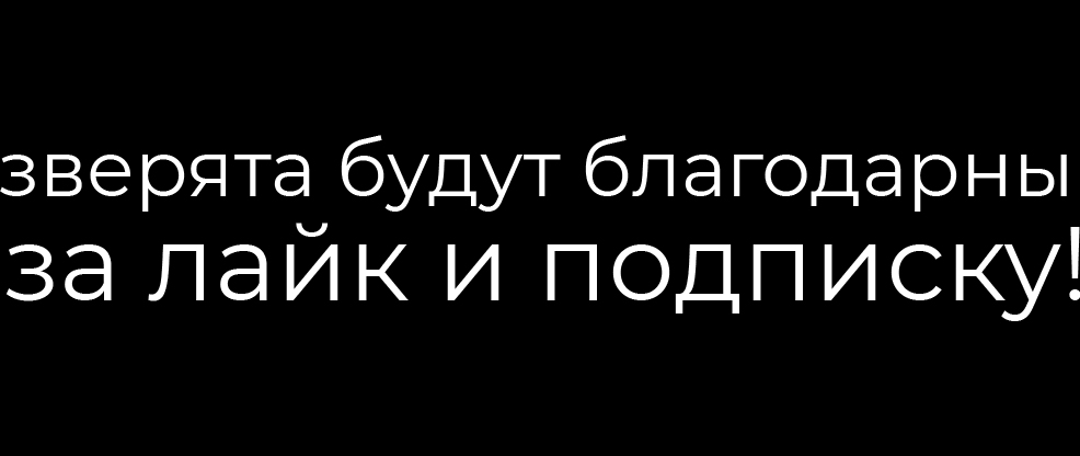 Серия пиктограмм для Дарвиновского музея — Изображение №22 — Иллюстрация, Графика на Dprofile