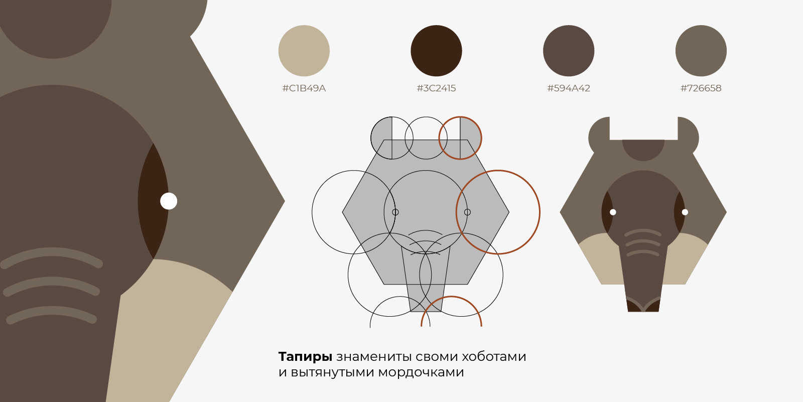 Серия пиктограмм для Дарвиновского музея — Изображение №8 — Иллюстрация, Графика на Dprofile