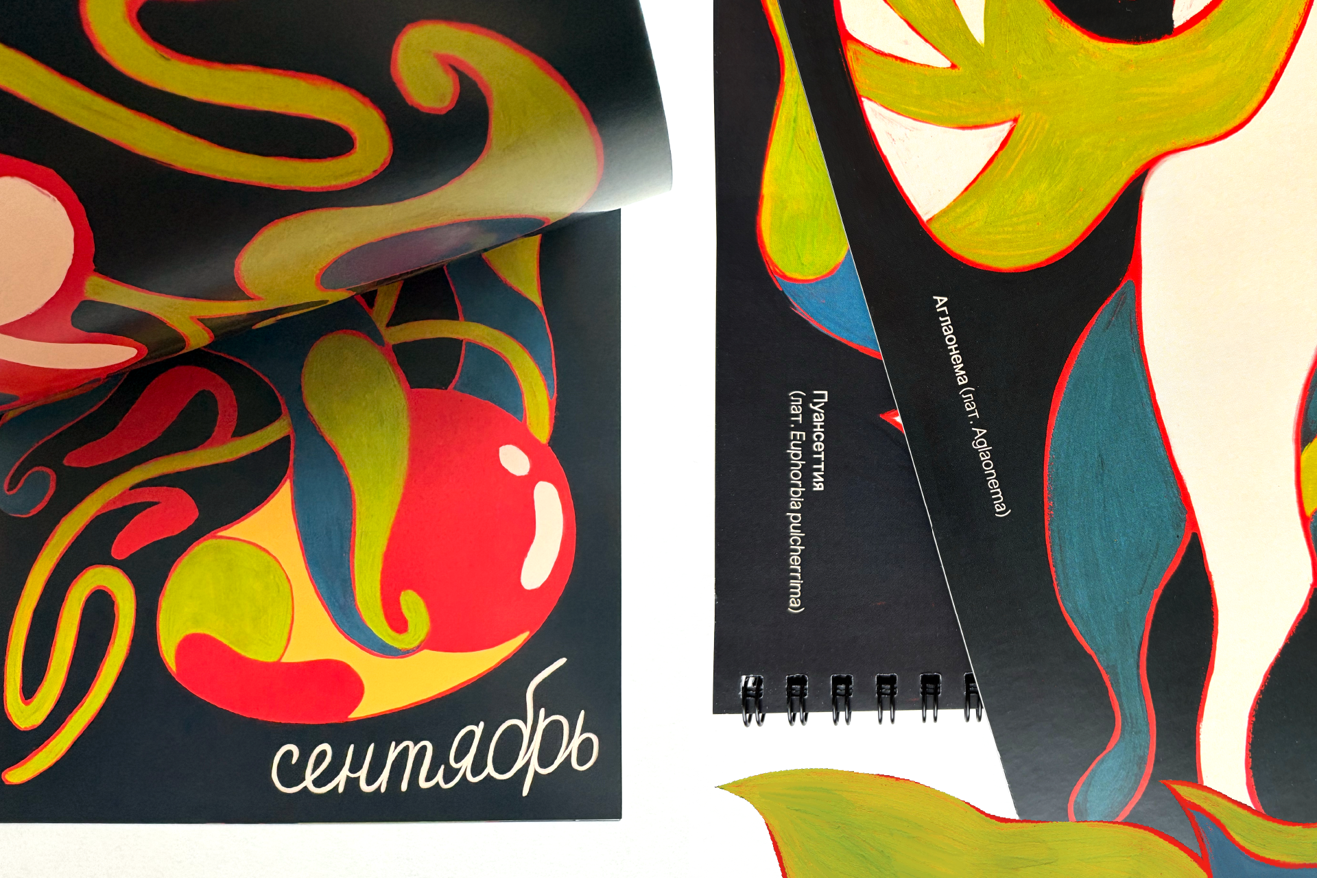 ЦВЕТОЧНЫЙ: календарь на 2026 год — Изображение №6 — Иллюстрация, Графика на Dprofile