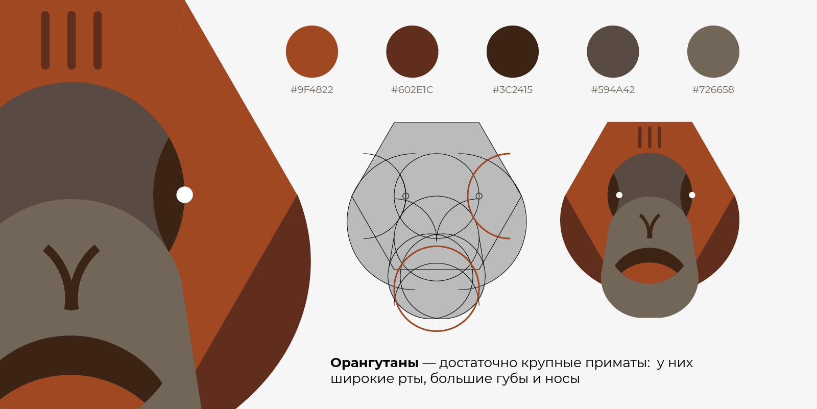 Серия пиктограмм для Дарвиновского музея — Изображение №19 — Иллюстрация, Графика на Dprofile
