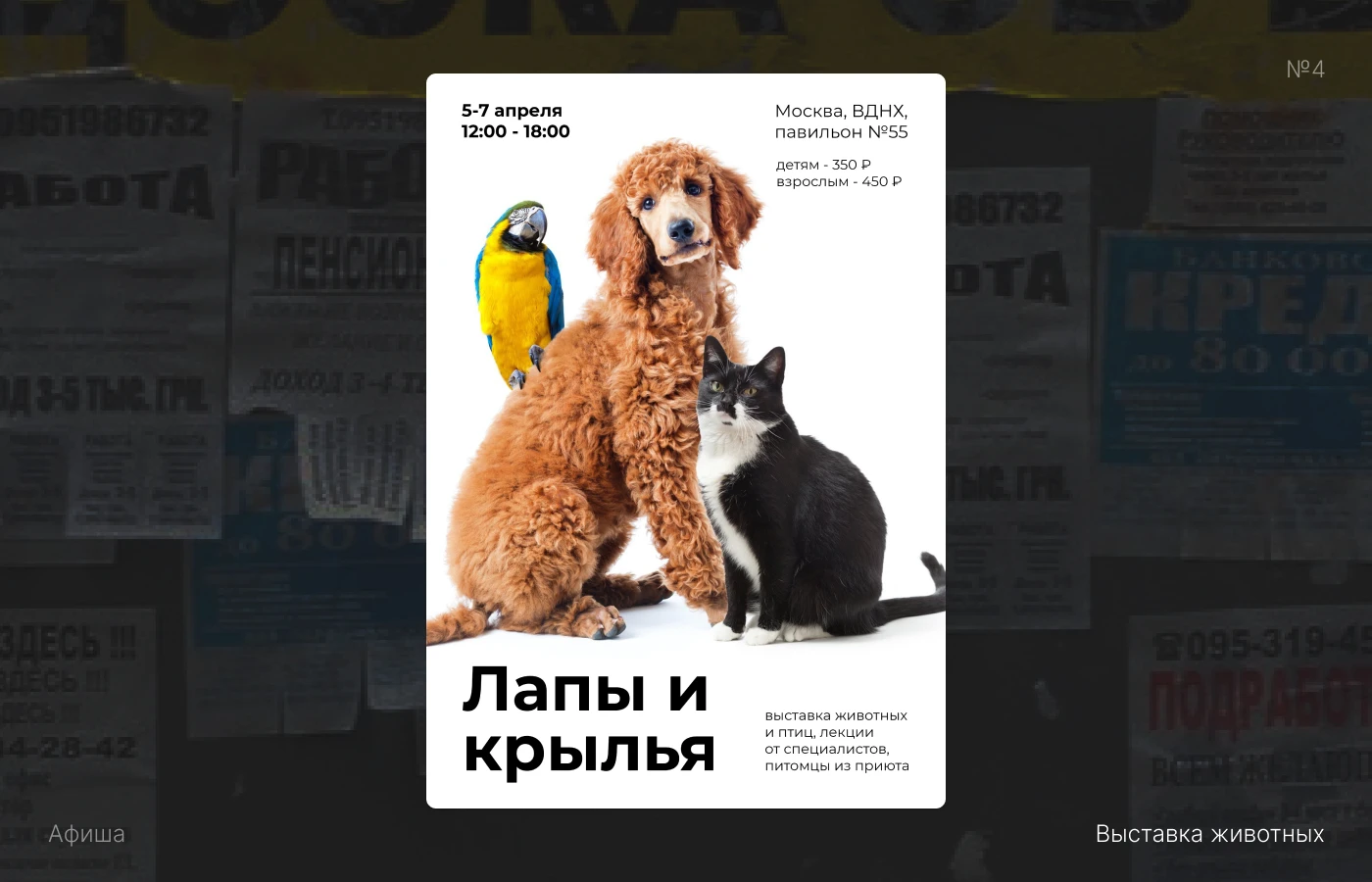 Полиграфия | Веб-баннеры | Графический дизайн — Изображение №4 — Брендинг, Графика на Dprofile