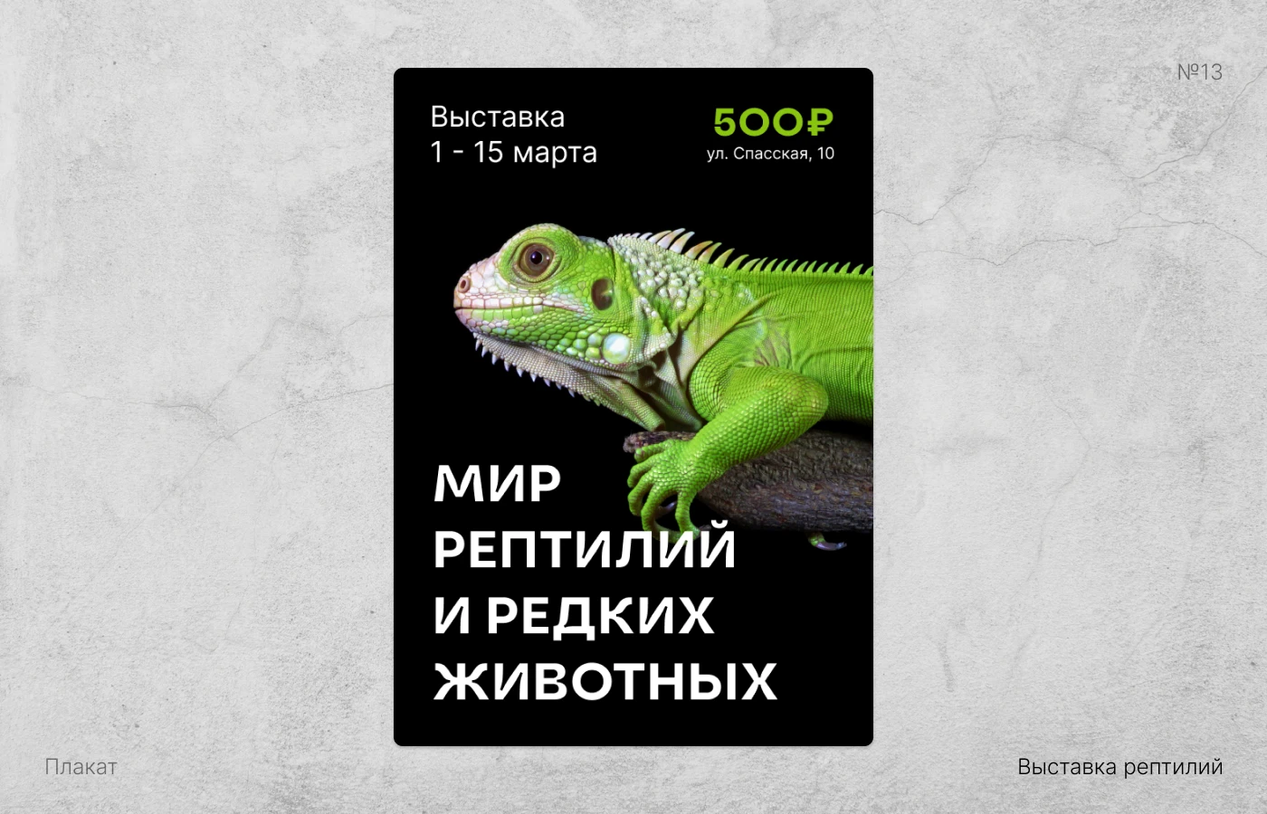 Полиграфия | Веб-баннеры | Графический дизайн — Изображение №13 — Брендинг, Графика на Dprofile
