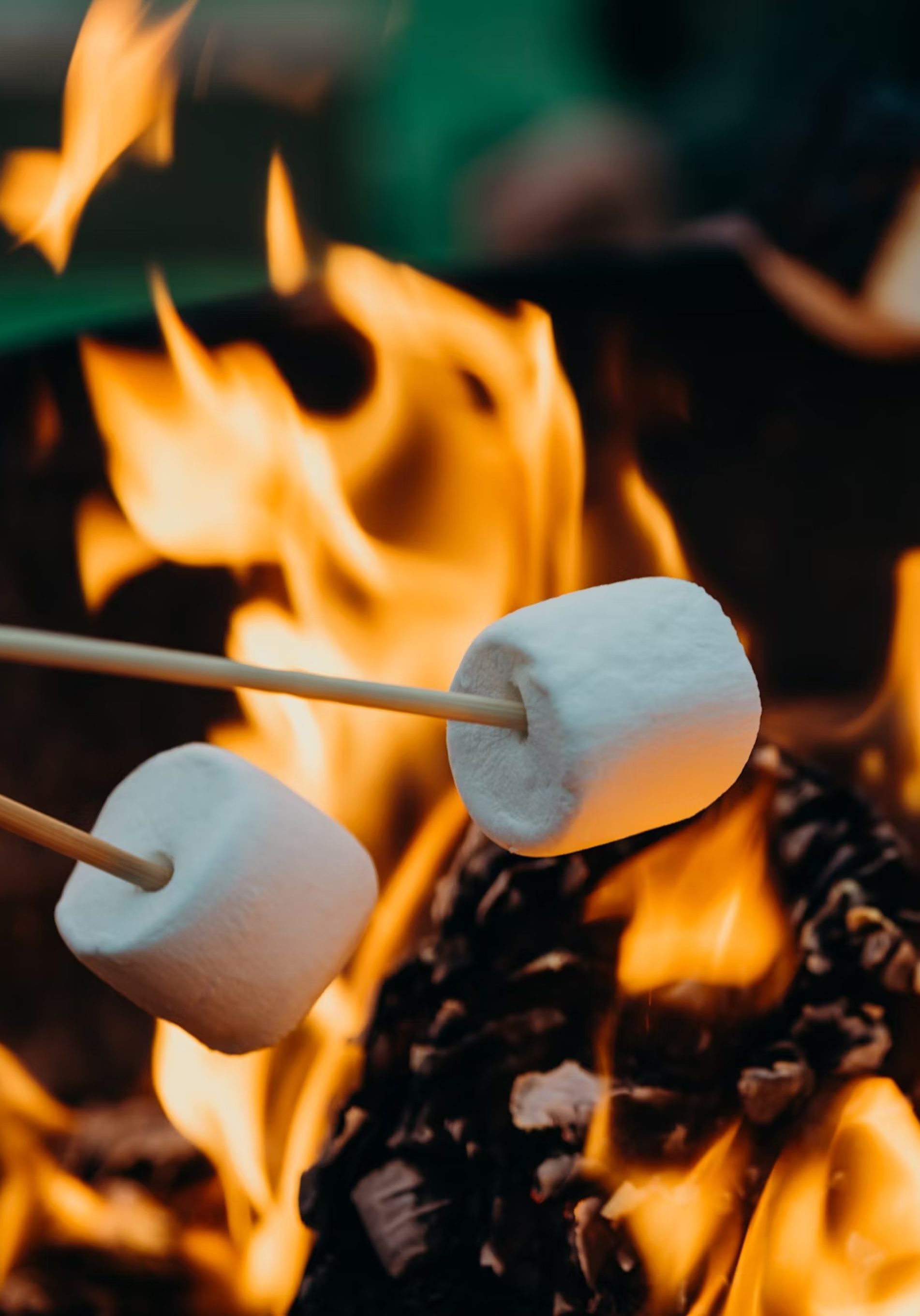 Web design | Landing page | Глэмпинг отель — Изображение №8 — Интерфейсы на Dprofile