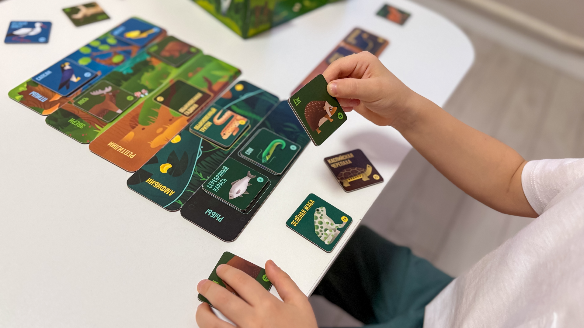 Настольная игра «Русское зоолото» — Изображение №15 — Брендинг, Иллюстрация на Dprofile