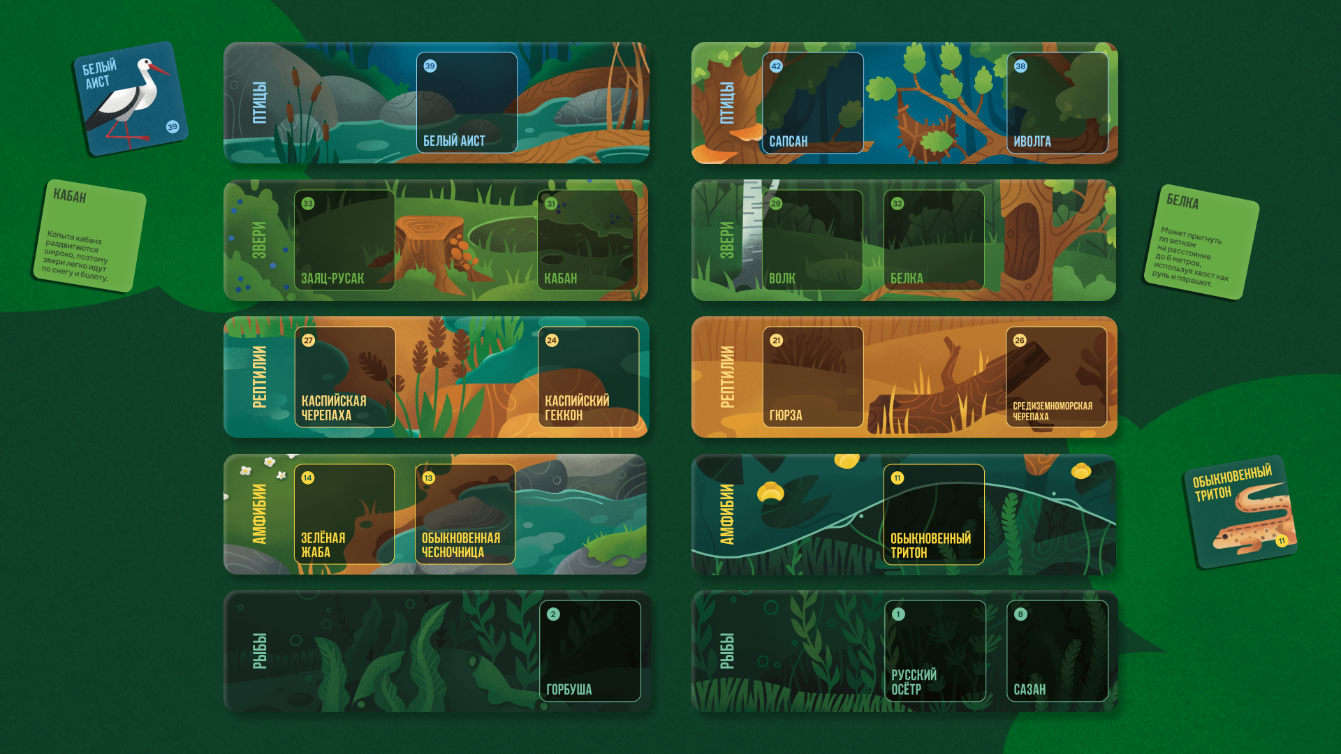 Настольная игра «Русское зоолото» — Изображение №18 — Брендинг, Иллюстрация на Dprofile