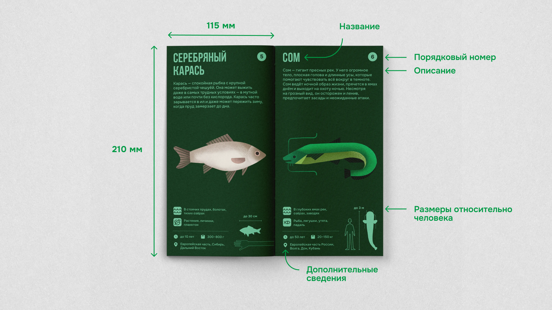 Настольная игра «Русское зоолото» — Изображение №22 — Брендинг, Иллюстрация на Dprofile