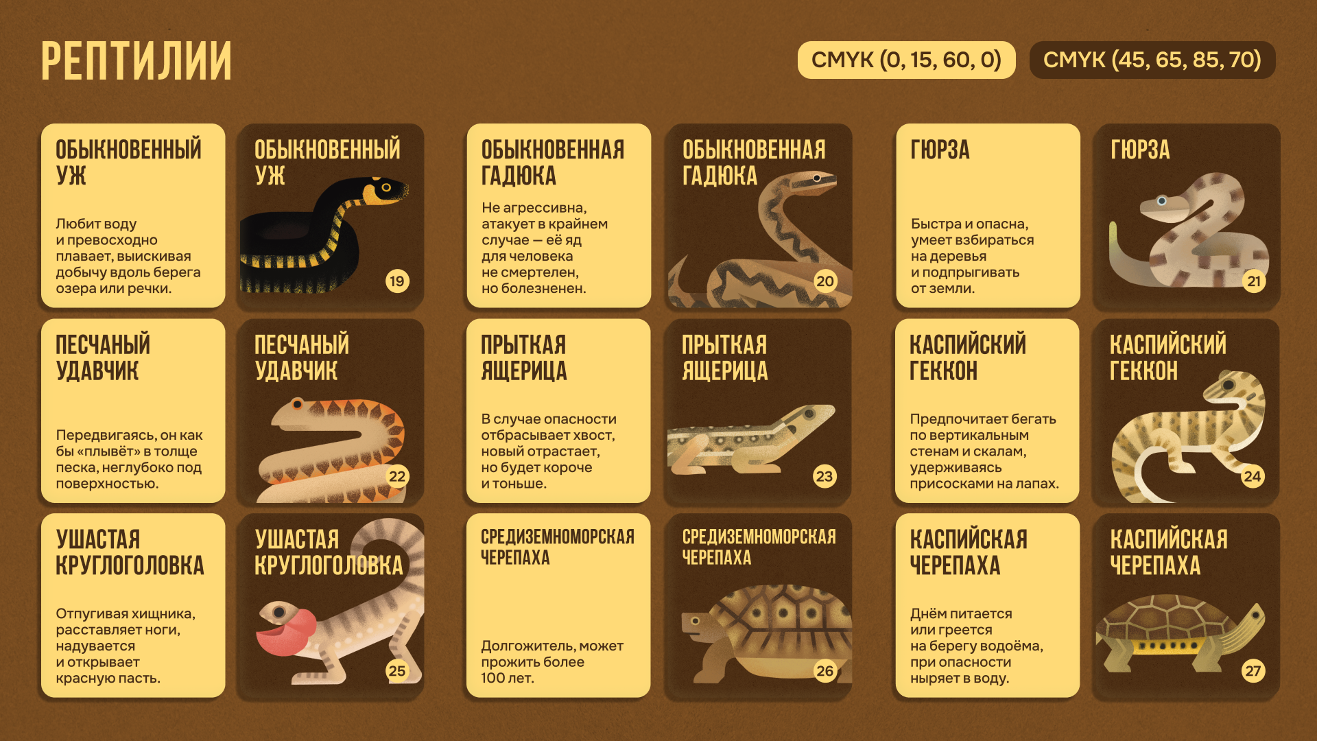 Настольная игра «Русское зоолото» — Изображение №12 — Брендинг, Иллюстрация на Dprofile