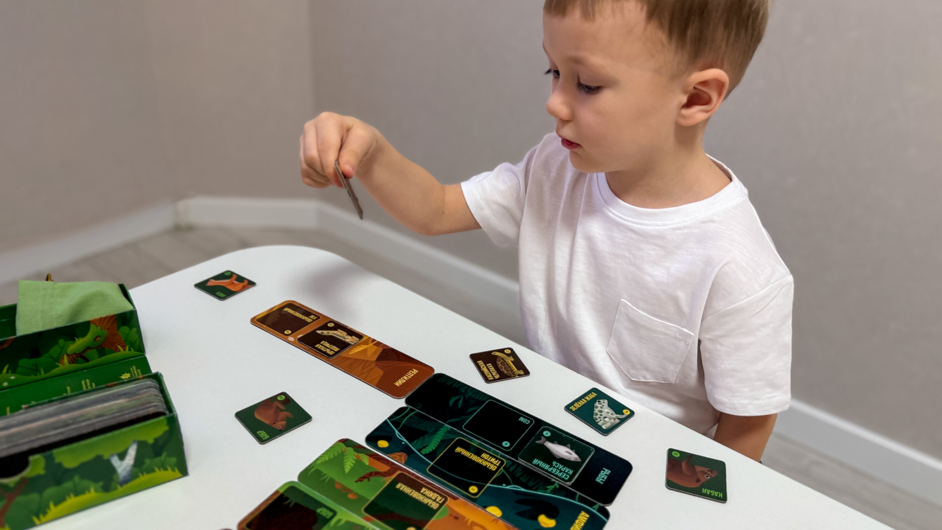 Настольная игра «Русское зоолото» — Изображение №1 — Брендинг, Иллюстрация на Dprofile