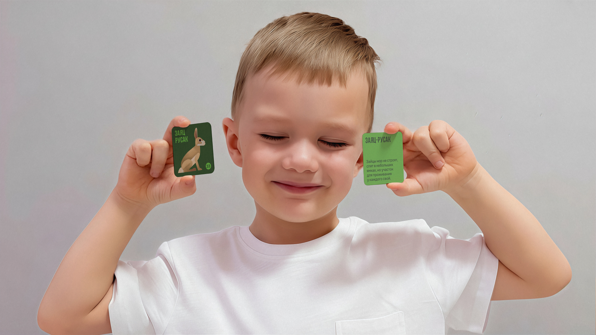 Настольная игра «Русское зоолото» — Изображение №8 — Брендинг, Иллюстрация на Dprofile