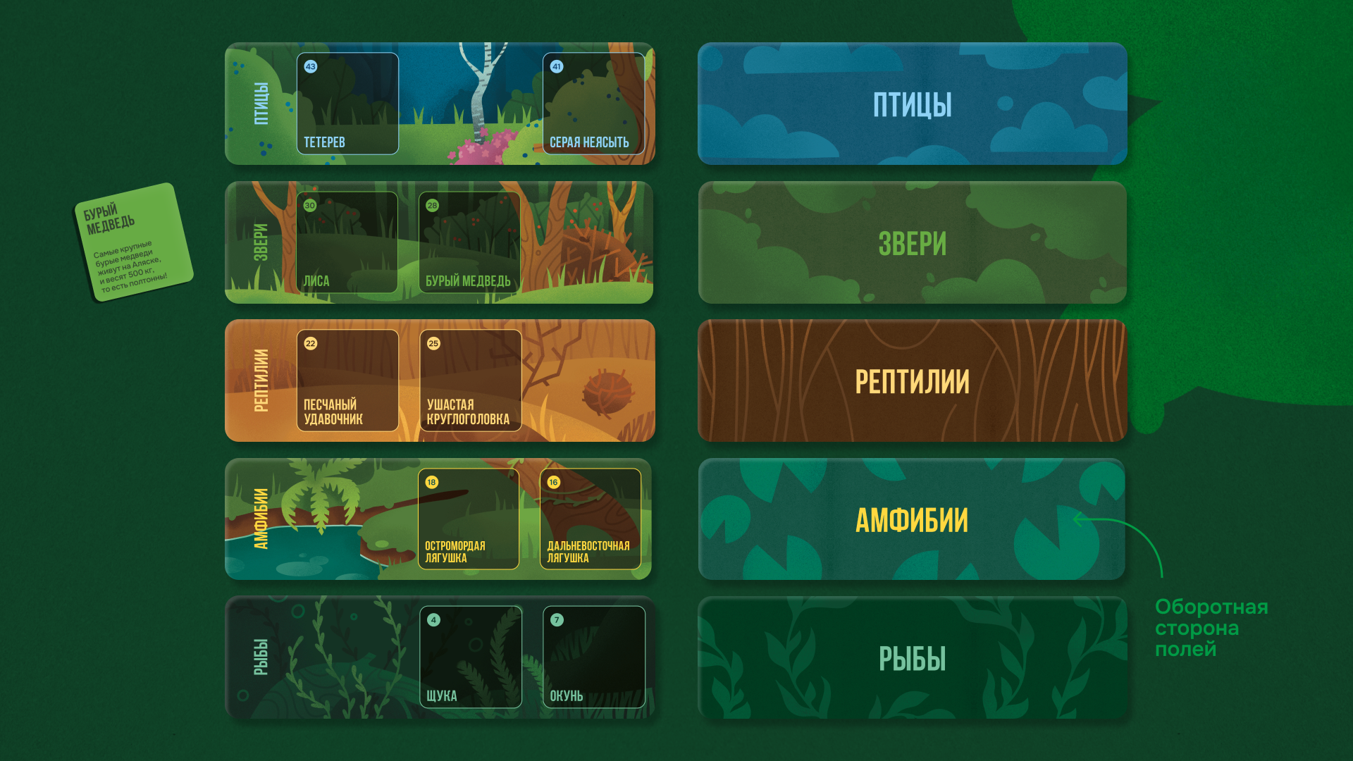 Настольная игра «Русское зоолото» — Изображение №19 — Брендинг, Иллюстрация на Dprofile
