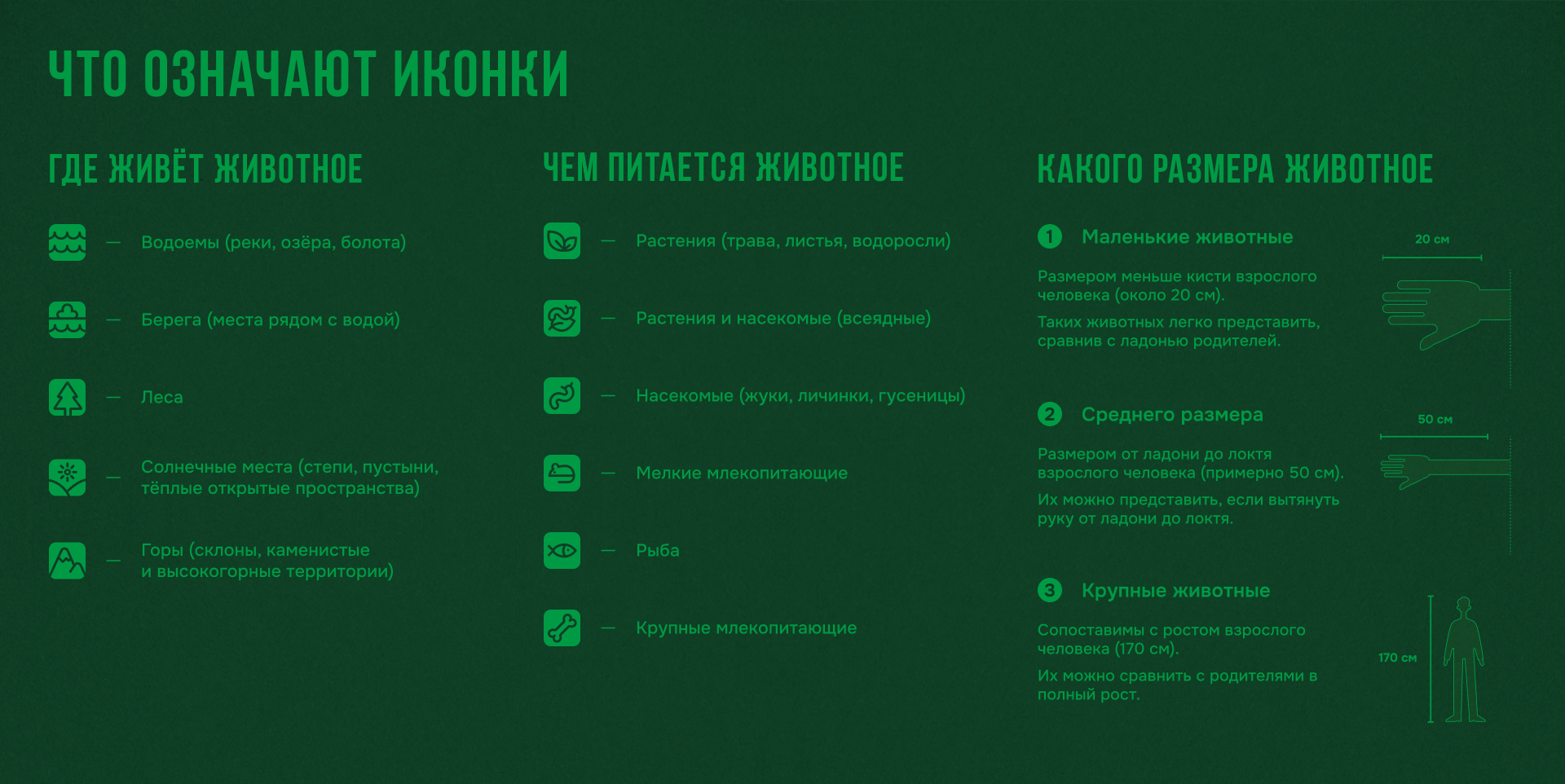 Настольная игра «Русское зоолото» — Изображение №23 — Брендинг, Иллюстрация на Dprofile