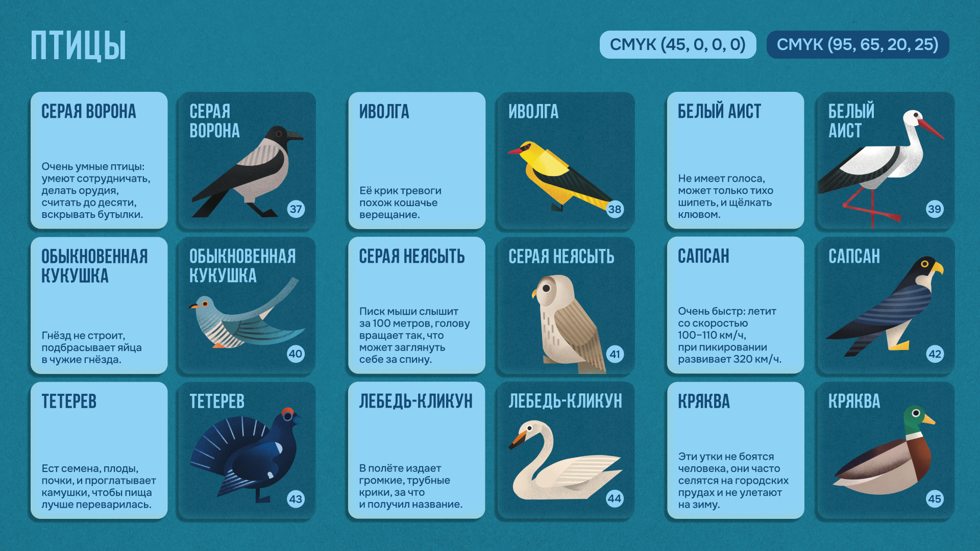 Настольная игра «Русское зоолото» — Изображение №14 — Брендинг, Иллюстрация на Dprofile