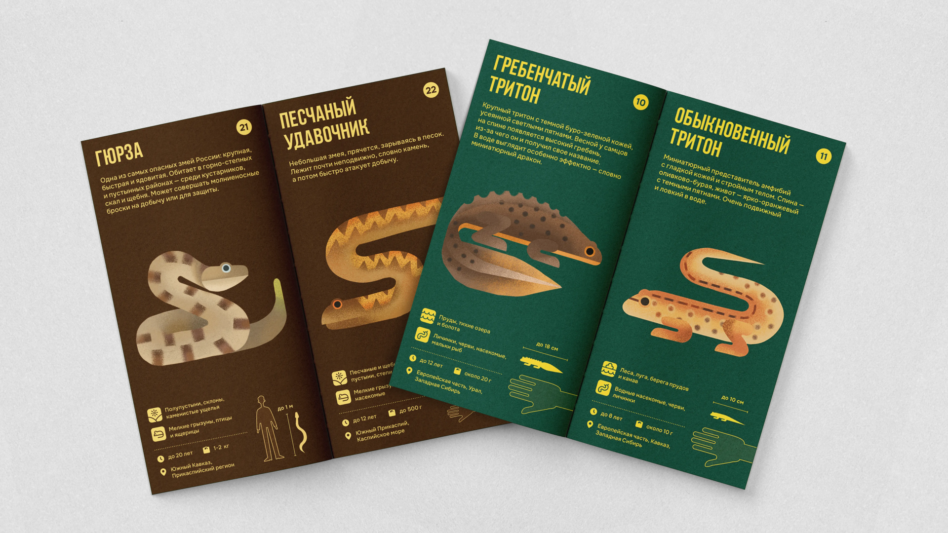 Настольная игра «Русское зоолото» — Изображение №24 — Брендинг, Иллюстрация на Dprofile