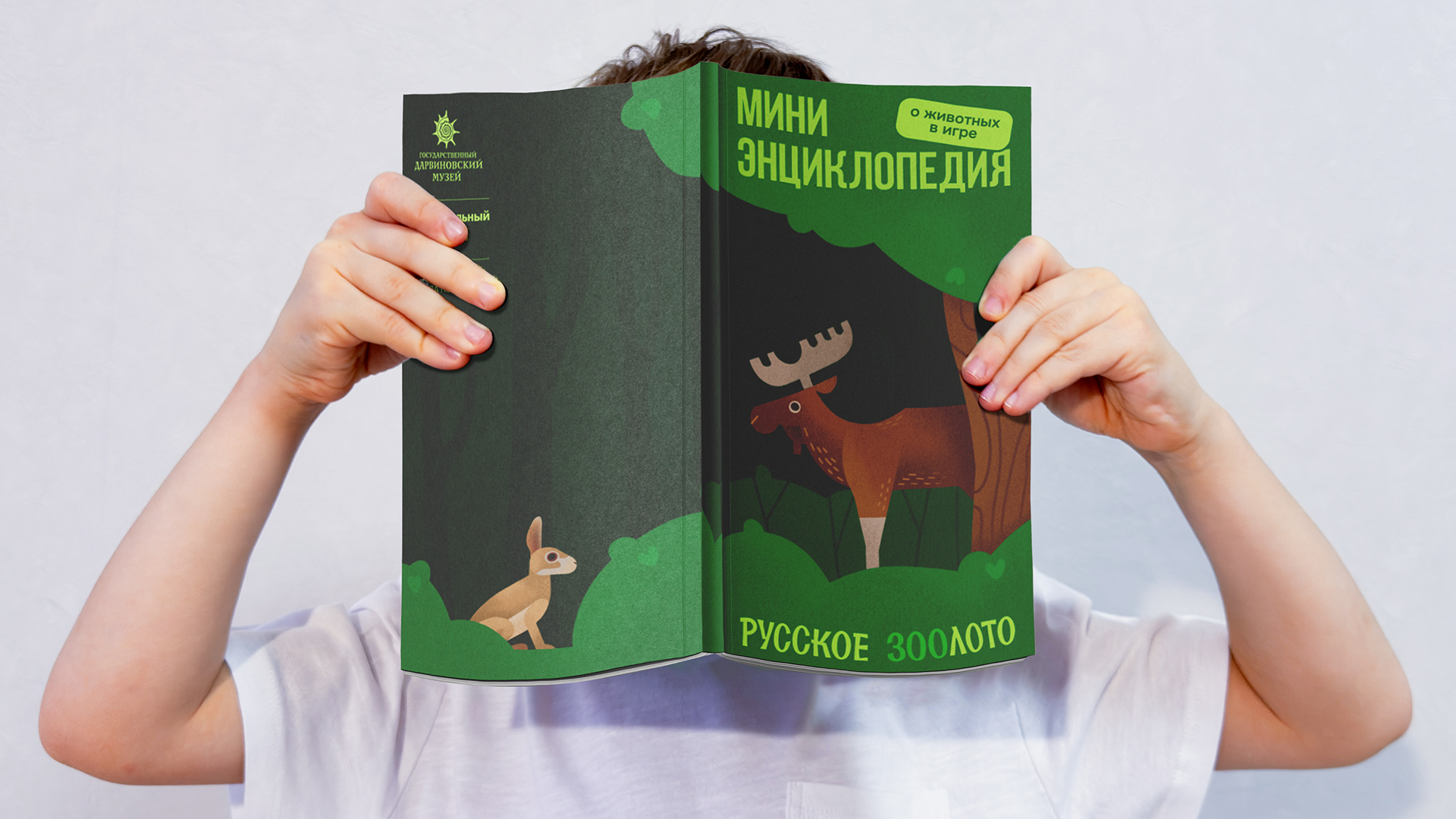 Настольная игра «Русское зоолото» — Изображение №20 — Брендинг, Иллюстрация на Dprofile