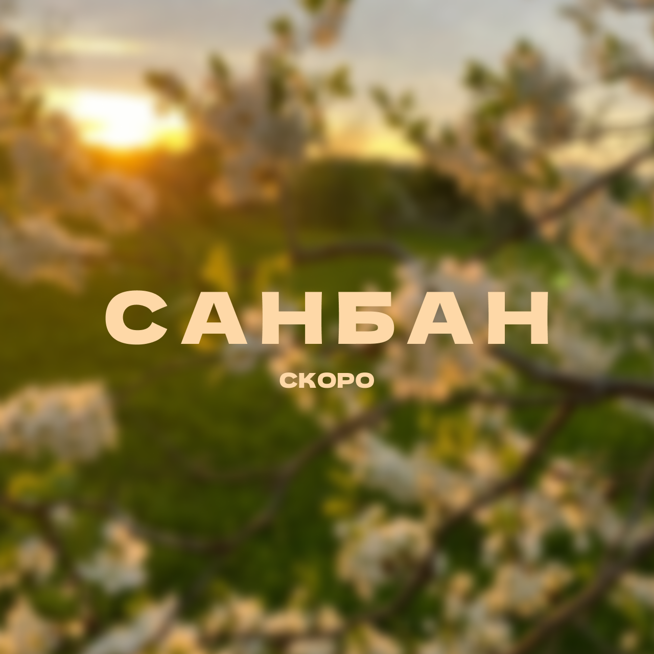 санбан | в разработке — Изображение №1 — Брендинг, Иллюстрация на Dprofile