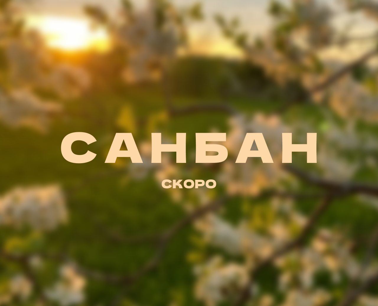 санбан | в разработке — Брендинг, Иллюстрация на Dprofile