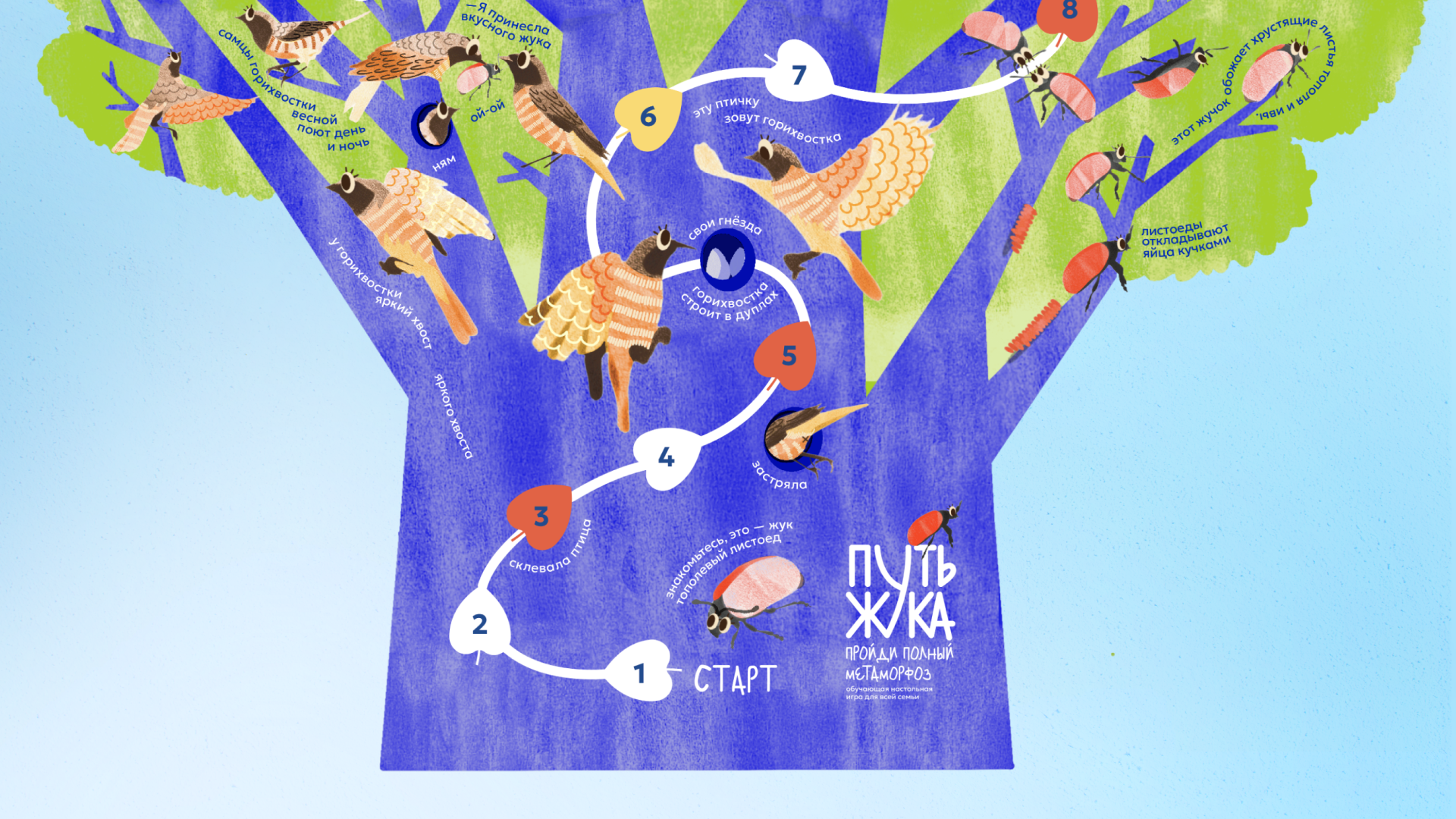 Детская настольная игра «Путь жука» — Изображение №12 — Иллюстрация, Графика на Dprofile