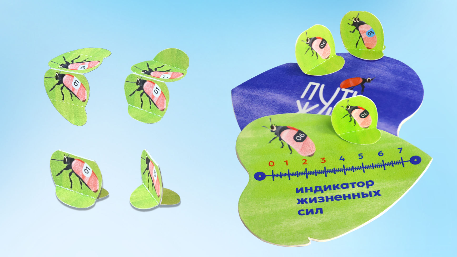 Детская настольная игра «Путь жука» — Изображение №18 — Иллюстрация, Графика на Dprofile