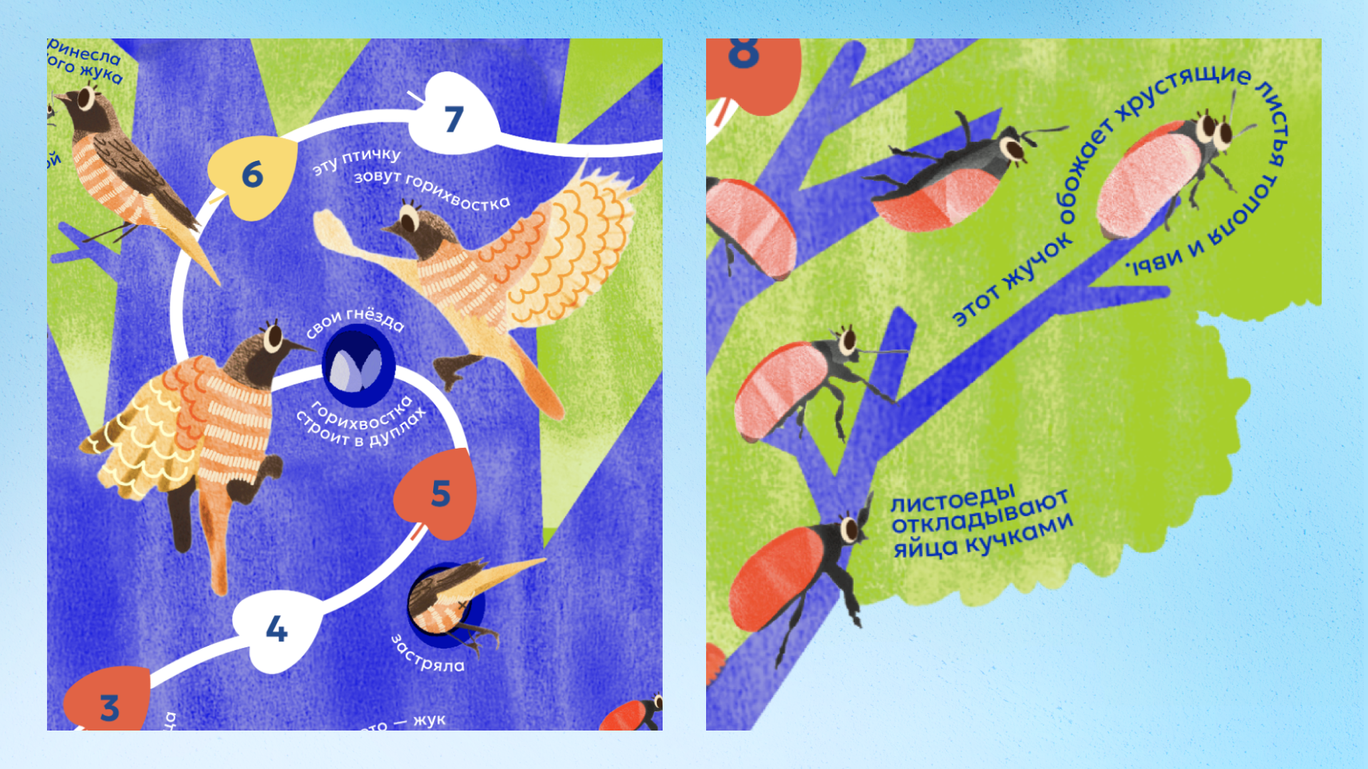 Детская настольная игра «Путь жука» — Изображение №13 — Иллюстрация, Графика на Dprofile