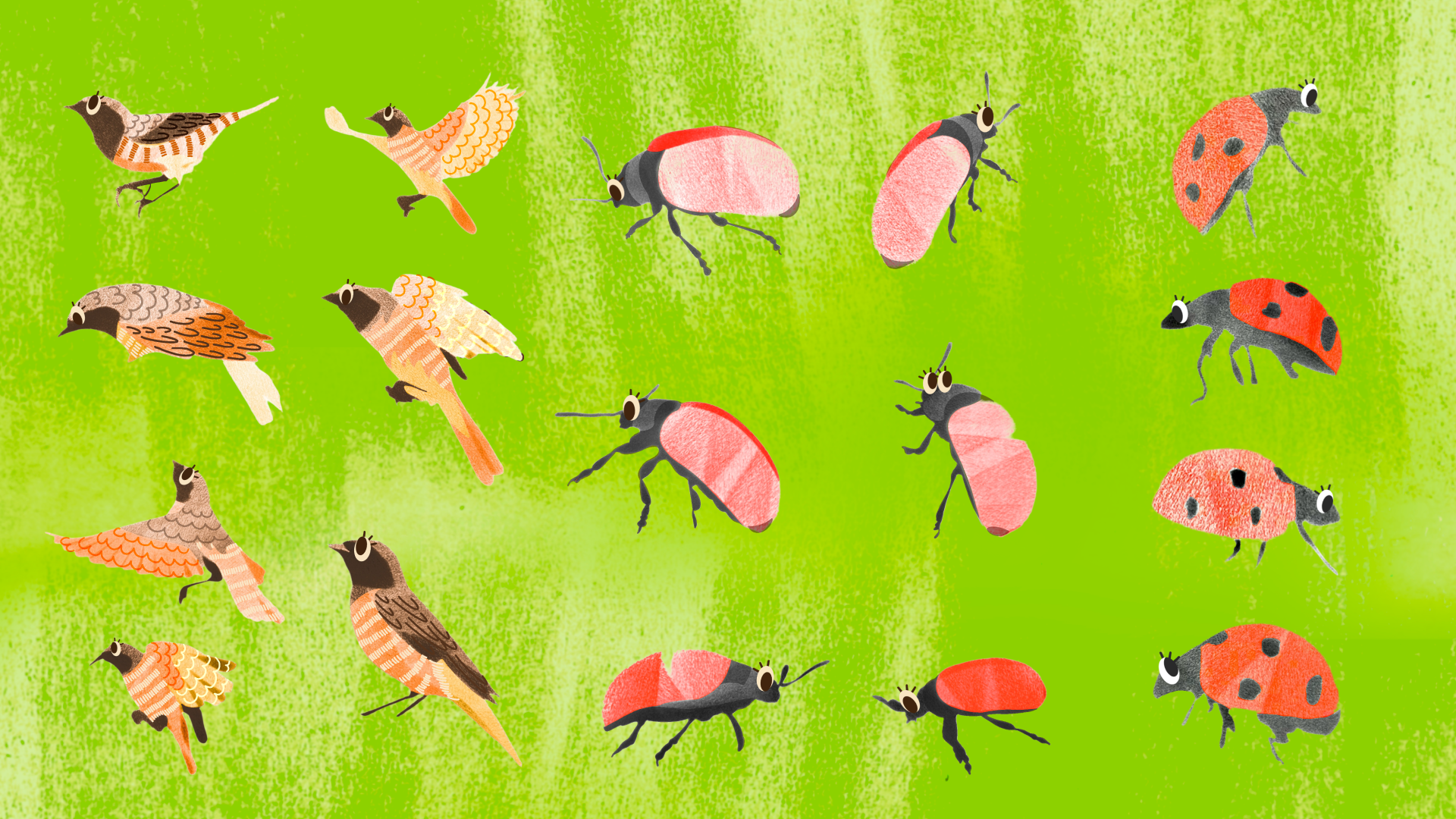 Детская настольная игра «Путь жука» — Изображение №6 — Иллюстрация, Графика на Dprofile