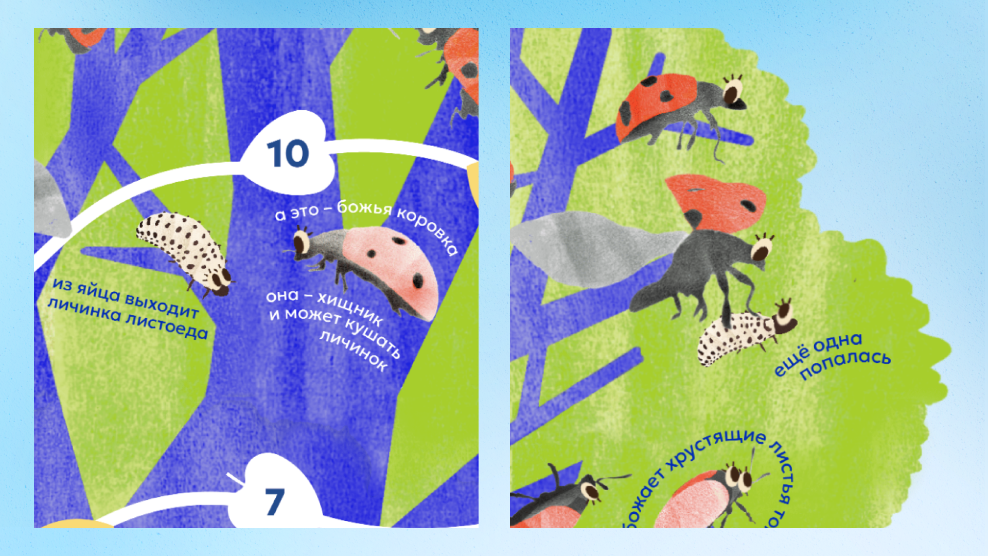 Детская настольная игра «Путь жука» — Изображение №15 — Иллюстрация, Графика на Dprofile