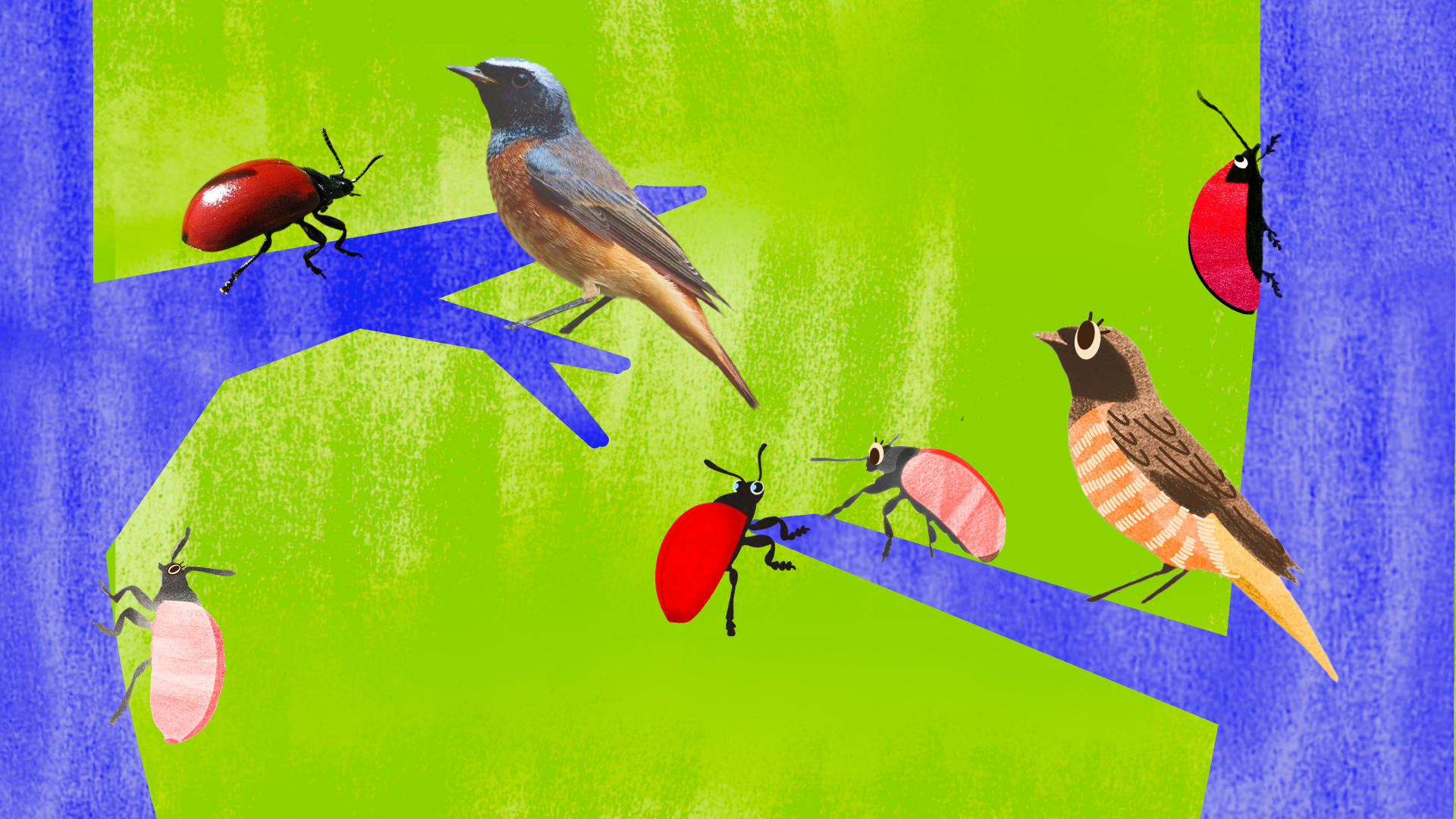 Детская настольная игра «Путь жука» — Изображение №5 — Иллюстрация, Графика на Dprofile