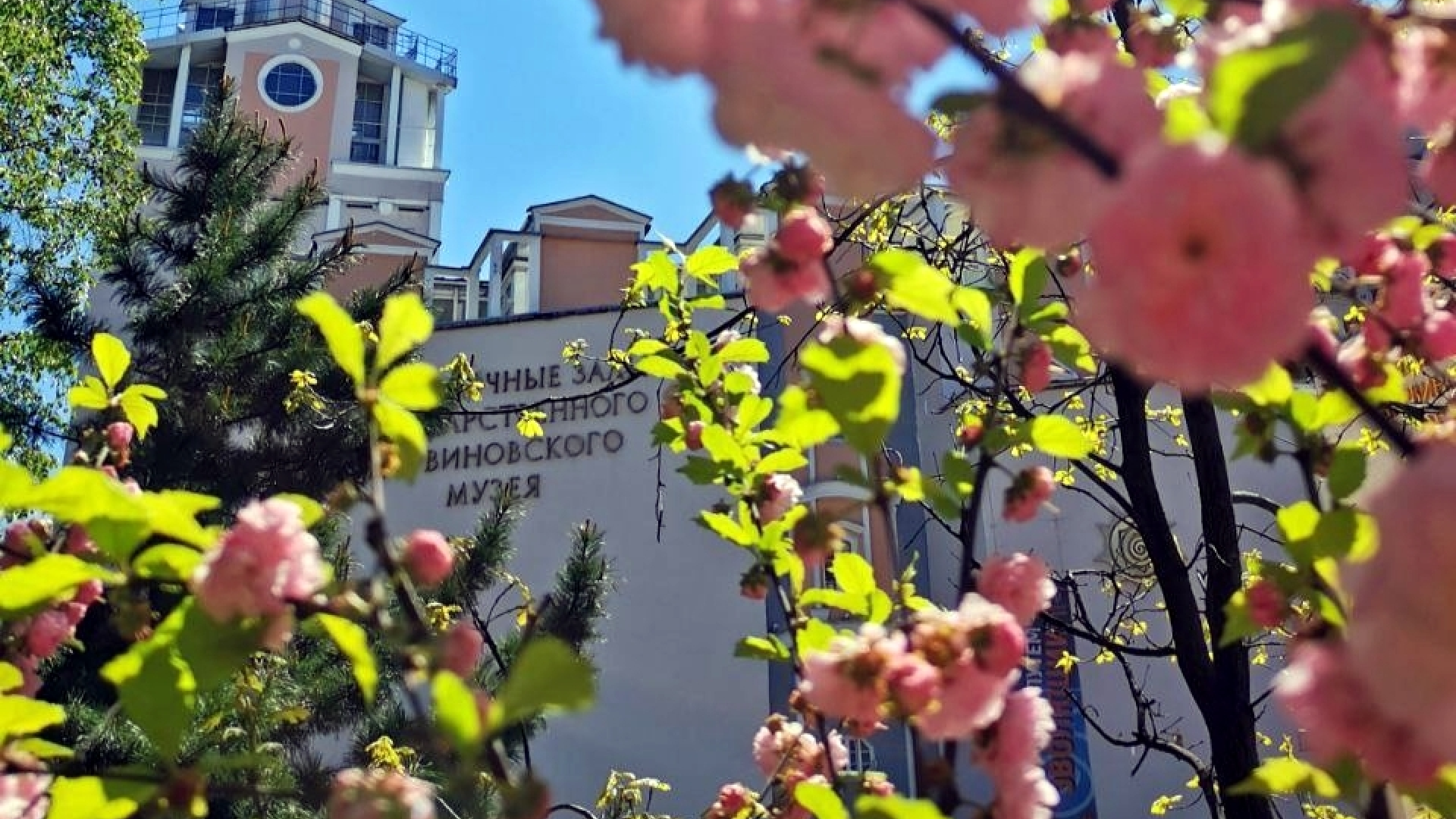 Детская настольная игра «Путь жука» — Изображение №2 — Иллюстрация, Графика на Dprofile