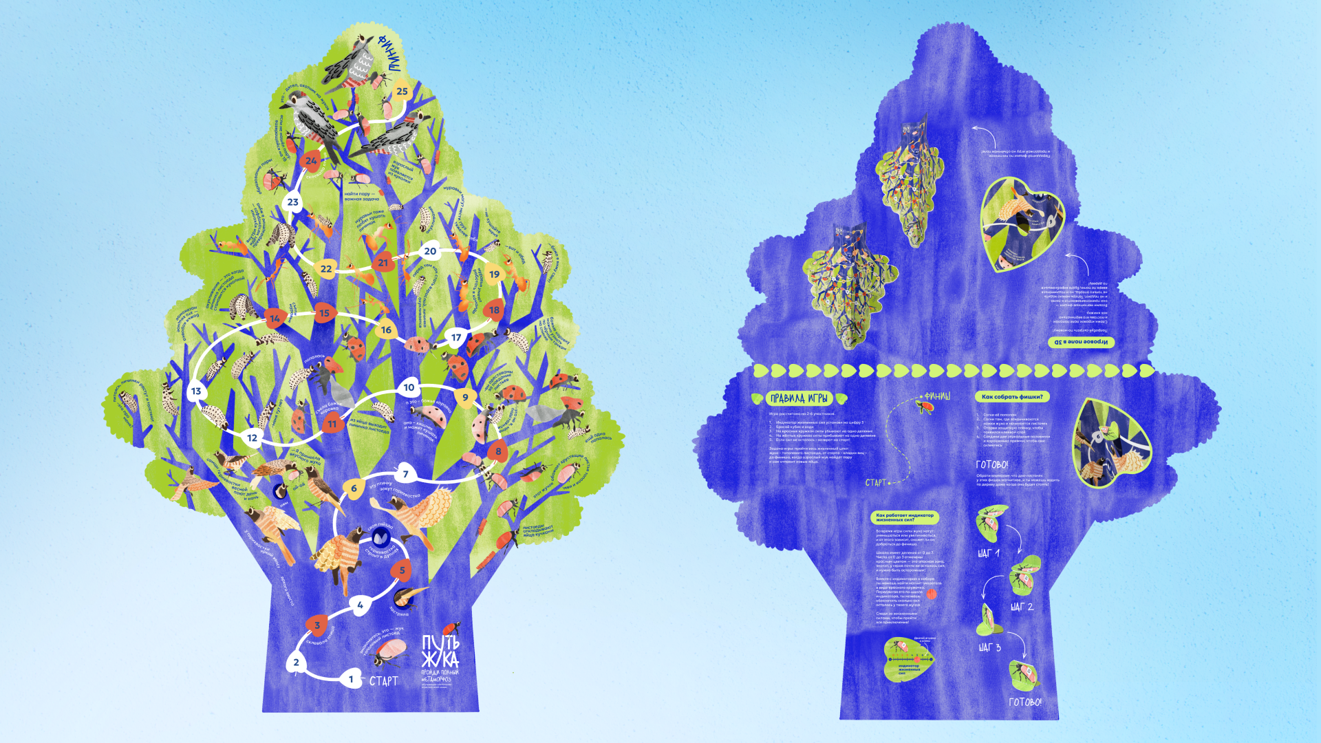 Детская настольная игра «Путь жука» — Изображение №8 — Иллюстрация, Графика на Dprofile