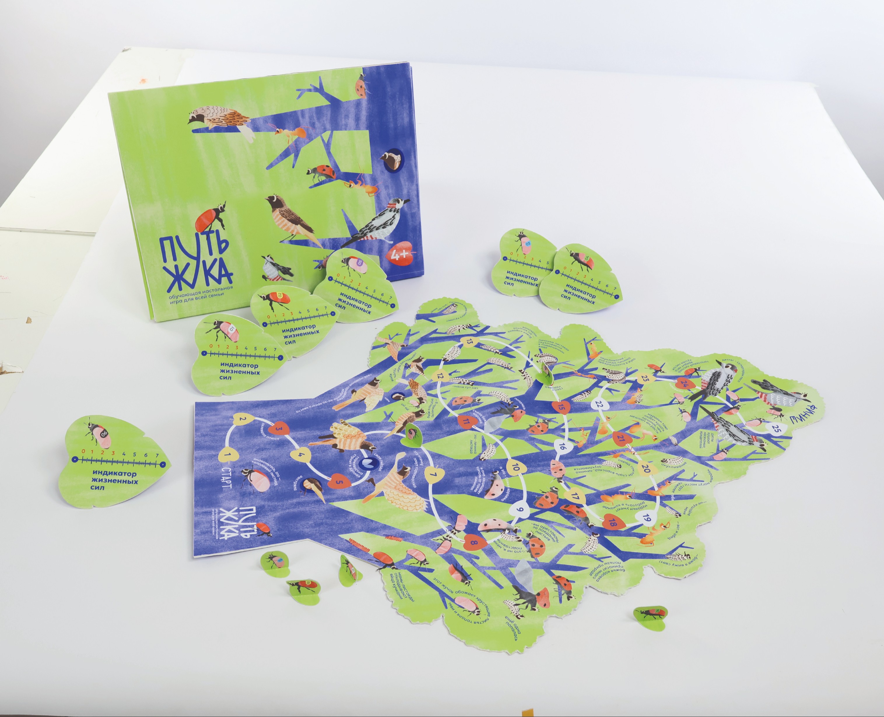 Детская настольная игра «Путь жука» — Иллюстрация, Графика на Dprofile