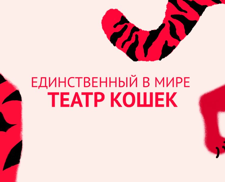 Графический комплекс для Театра кошек Куклачёва на Dprofile