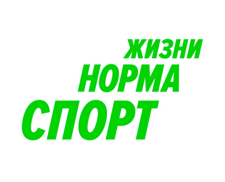 Кинетическая айдентика для проекта «Спорт — норма жизни» на Dprofile