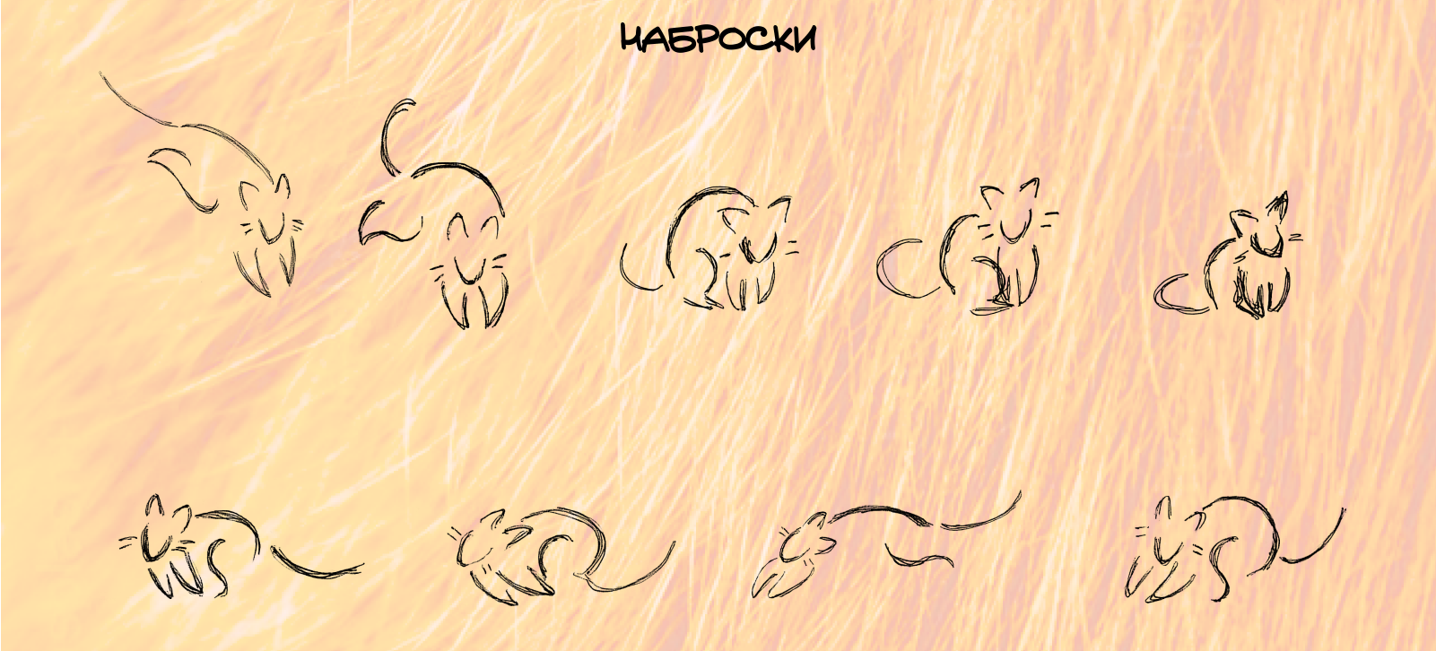 В какой стране больше кошек? — Изображение №5 — Графика, Анимация на Dprofile