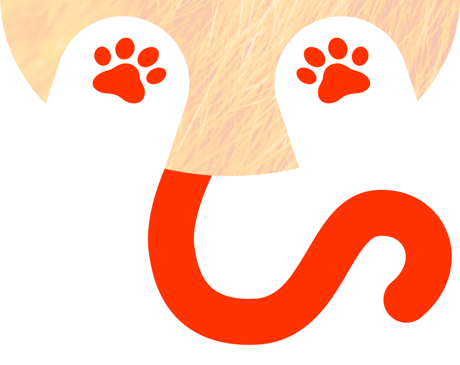 В какой стране больше кошек? — Изображение №7 — Графика, Анимация на Dprofile