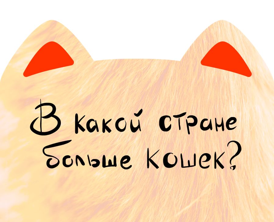 В какой стране больше кошек? — Графика, Анимация на Dprofile
