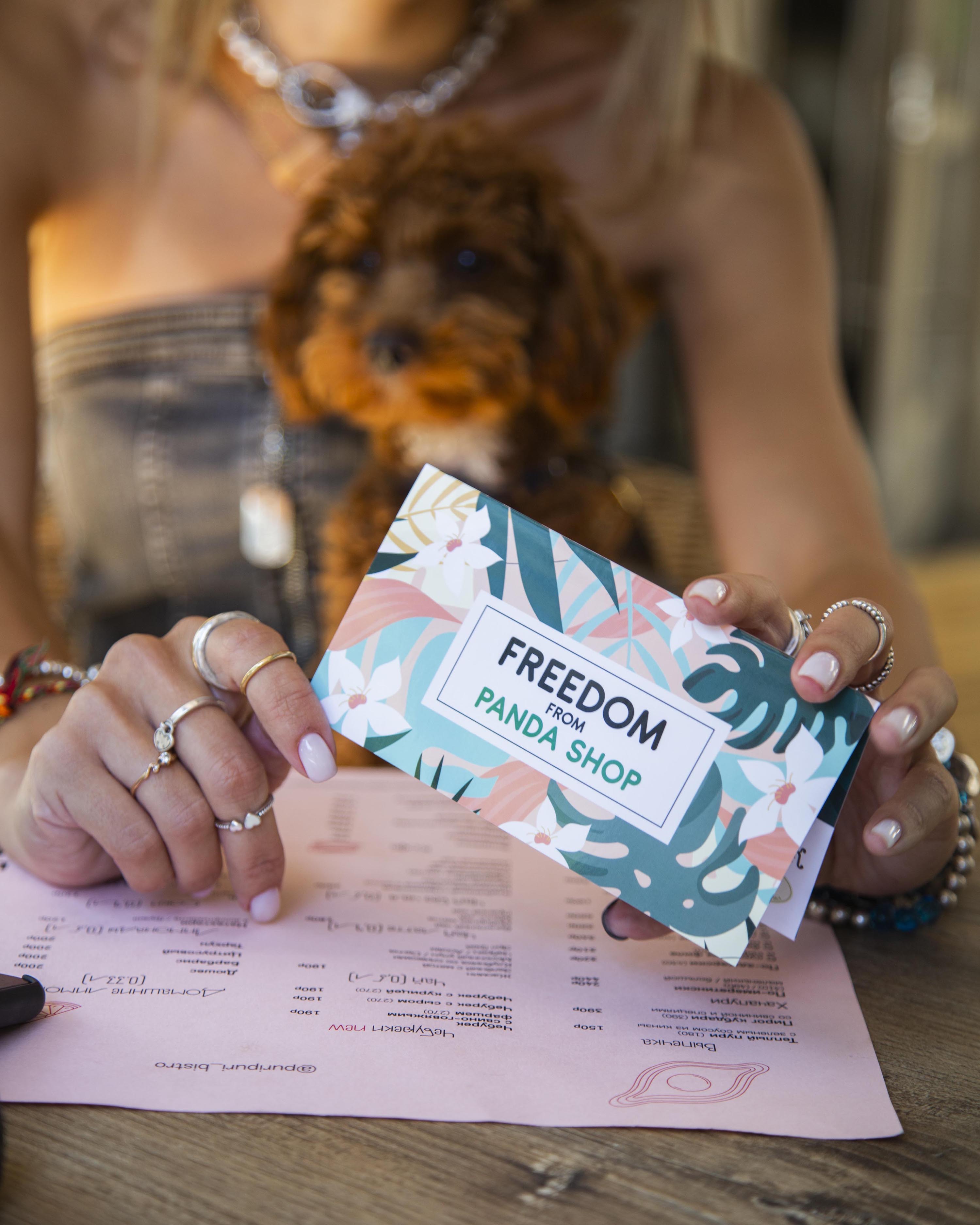 PANDA SHOP: картхолдер и набор карт лояльности — Изображение №2 — Графика, Маркетинг на Dprofile