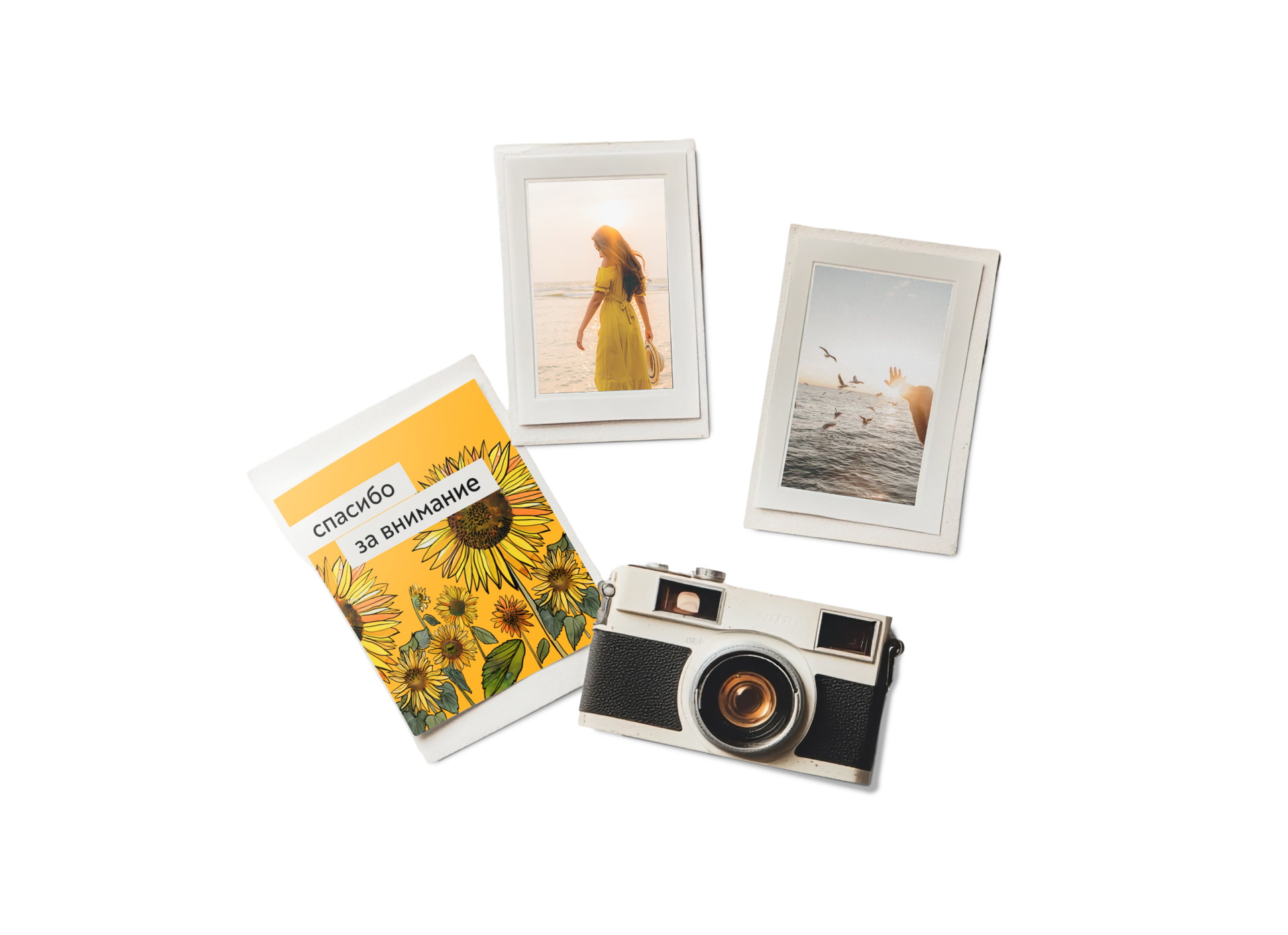 Туристический бренд Крыма — Изображение №18 — Брендинг, Иллюстрация на Dprofile